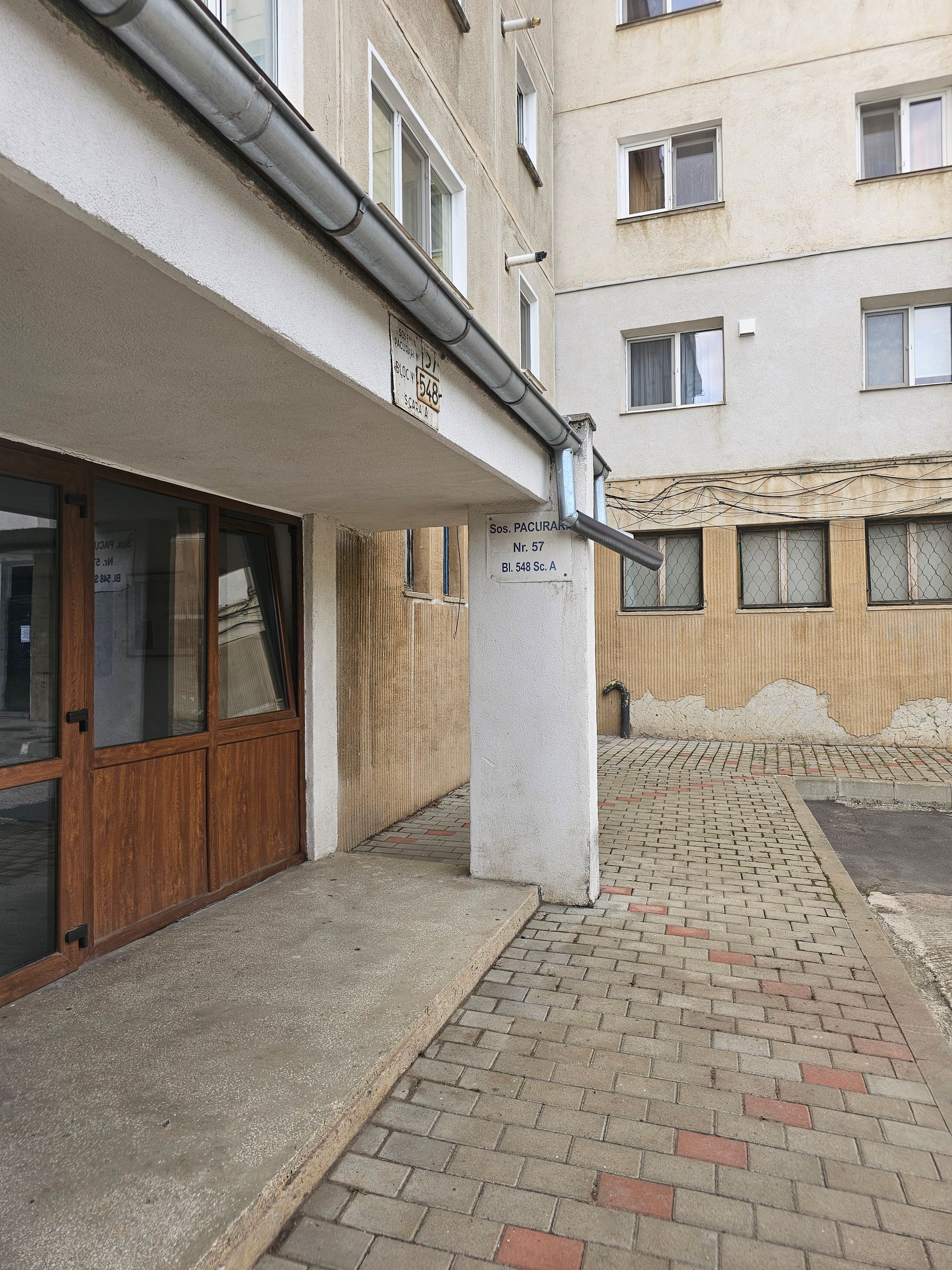Ambrozie in Șoseaua Păcurari nr.57 bloc 548, scara A, Iași, Municipiu Iași, Județul Iași