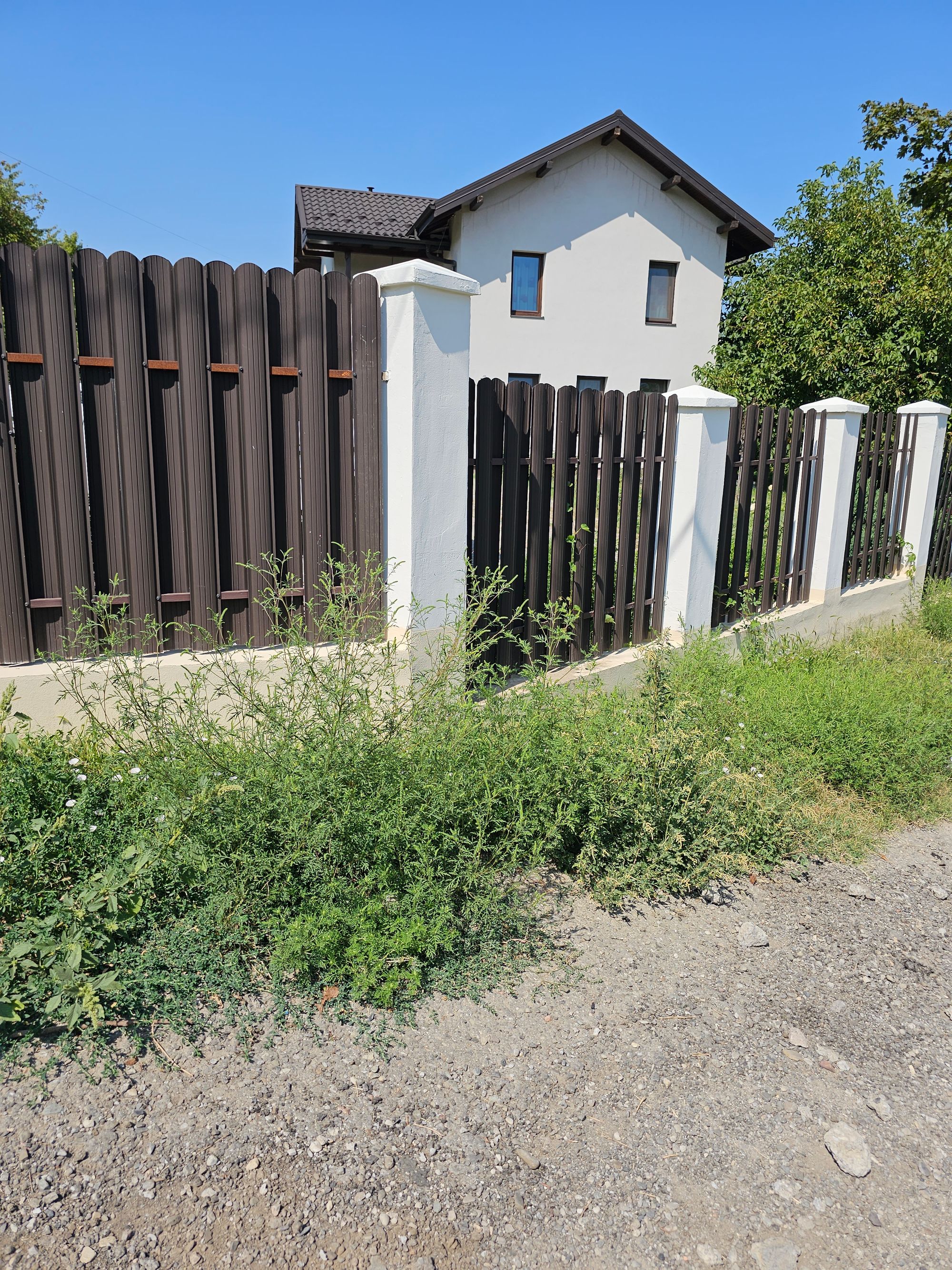 Ambrozie in Strada Iancu Flondor 6, Iași, Municipiu Iaşi, Județul Iași