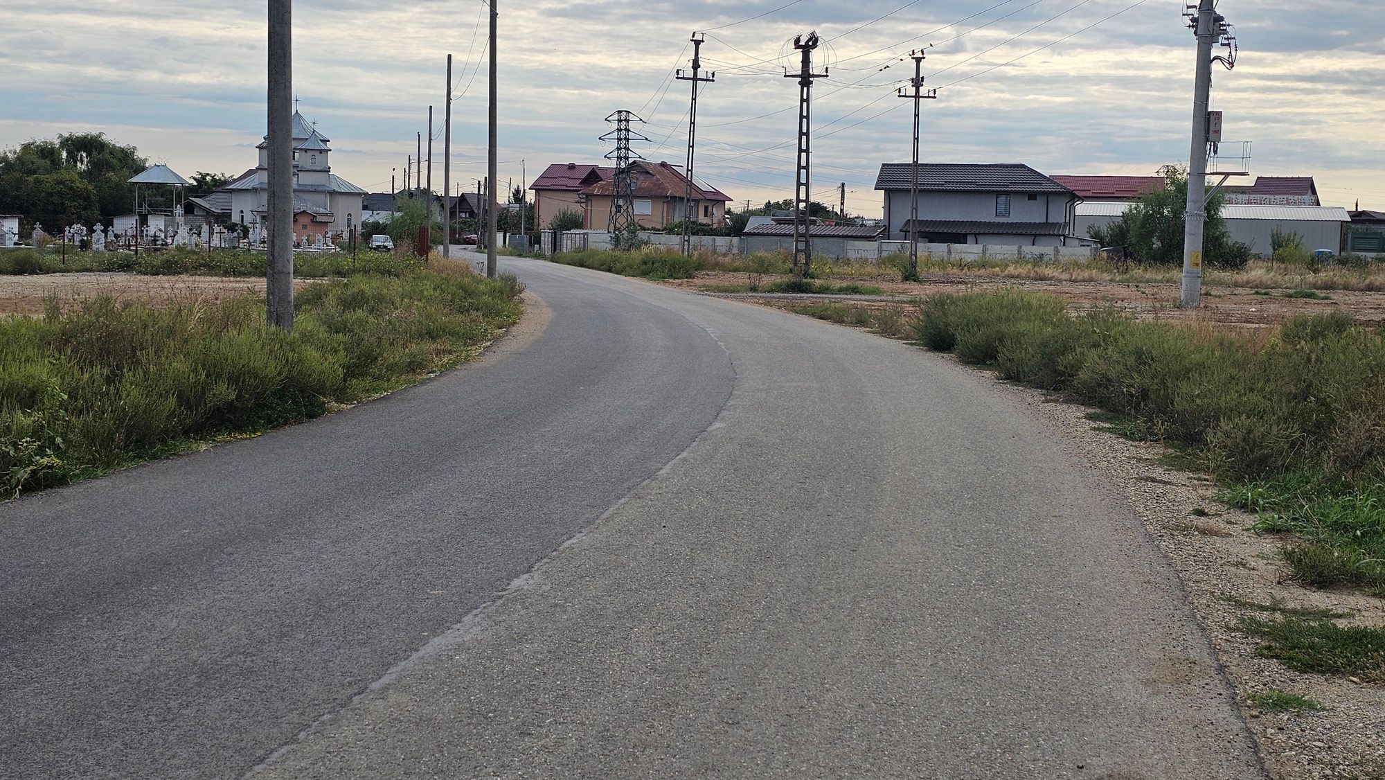 Ambrozie in DE 84 92, Dumbrava, Comuna Ulmi, Județul Dâmbovița - 20260915_100121.jpg