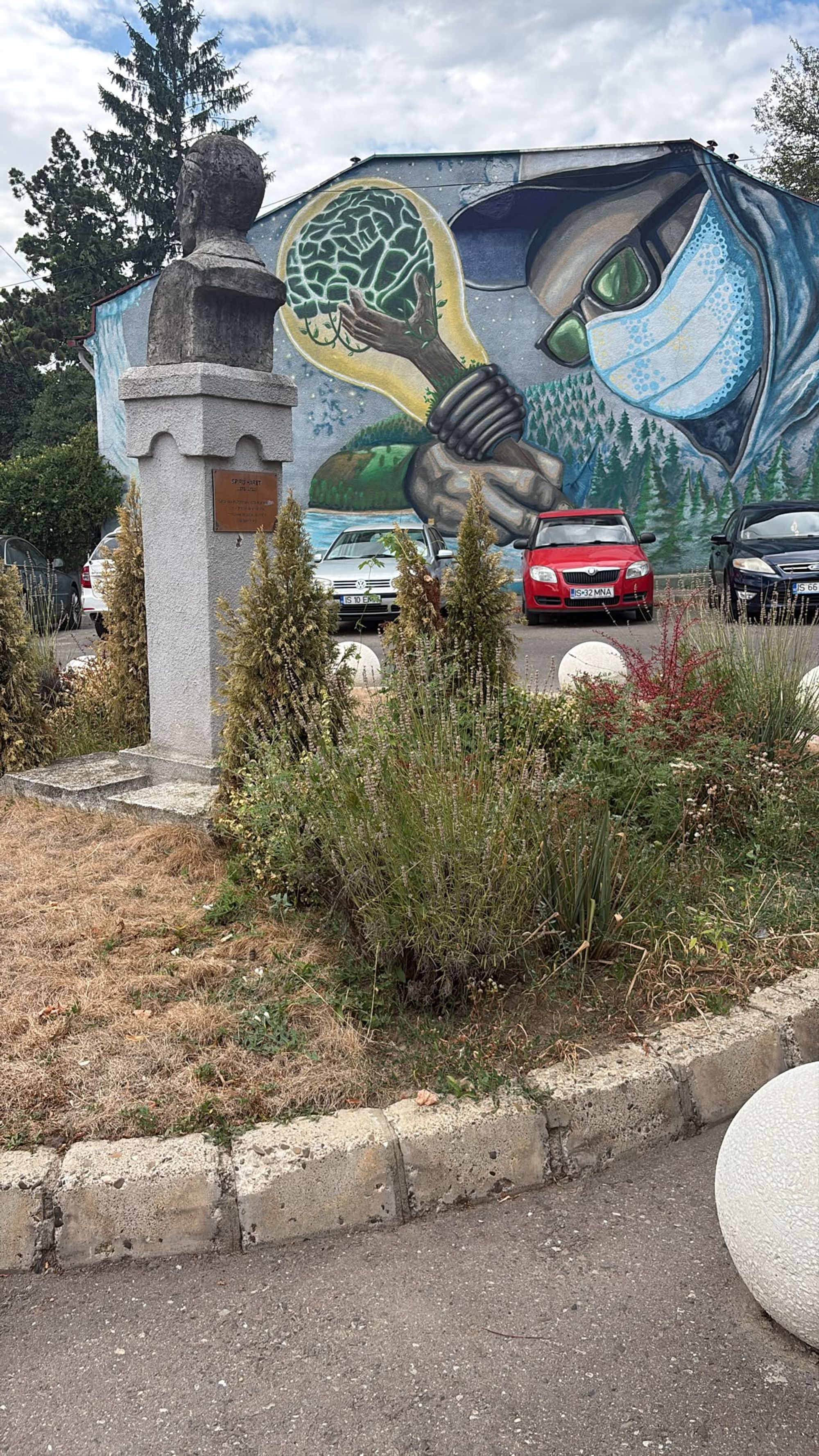 Ambrozie in Strada Octav Botez 2, Iași, Municipiu Iași, Județul Iași - 23232.jpg