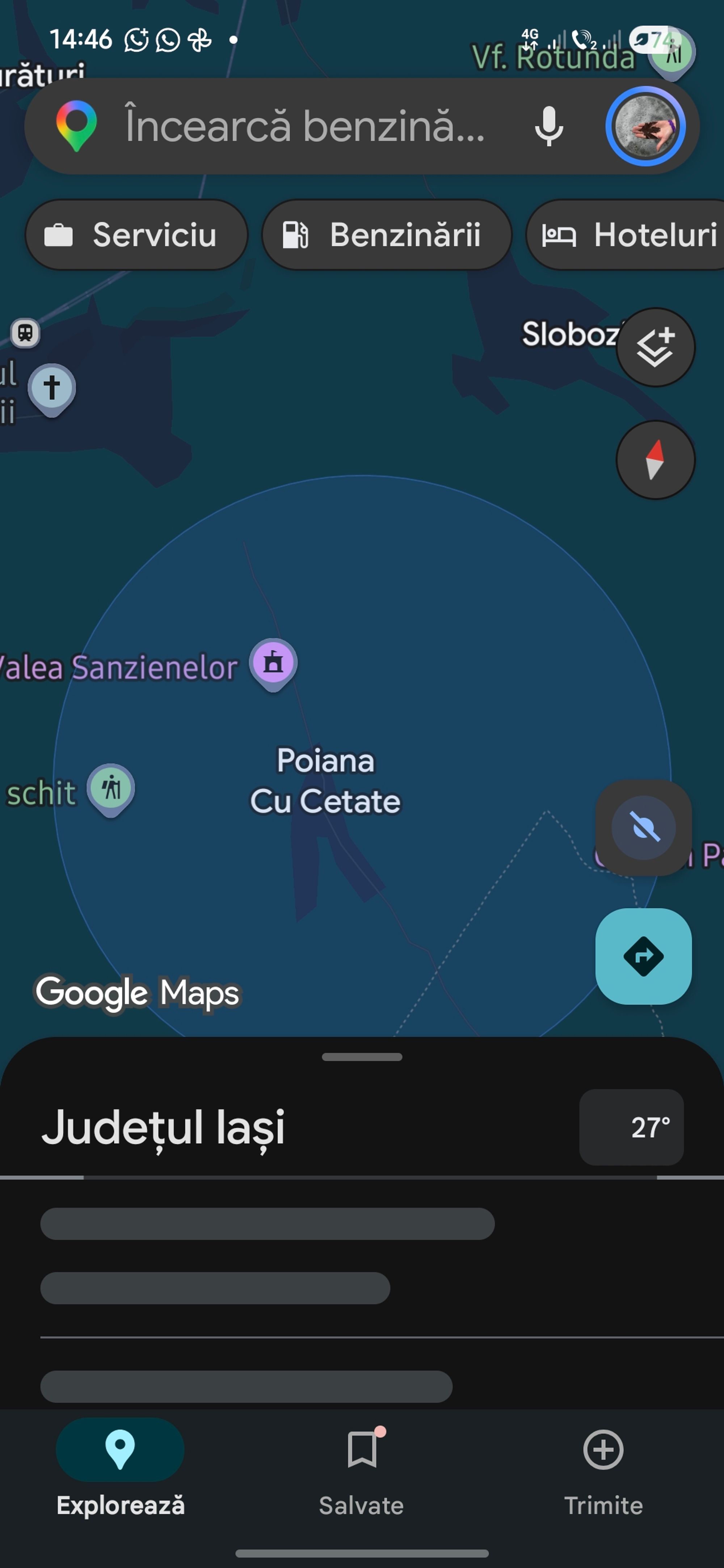 Ambrozie in Poiana Cu Cetate, Comuna Grajduri, Județul Iași - 79179.jpg