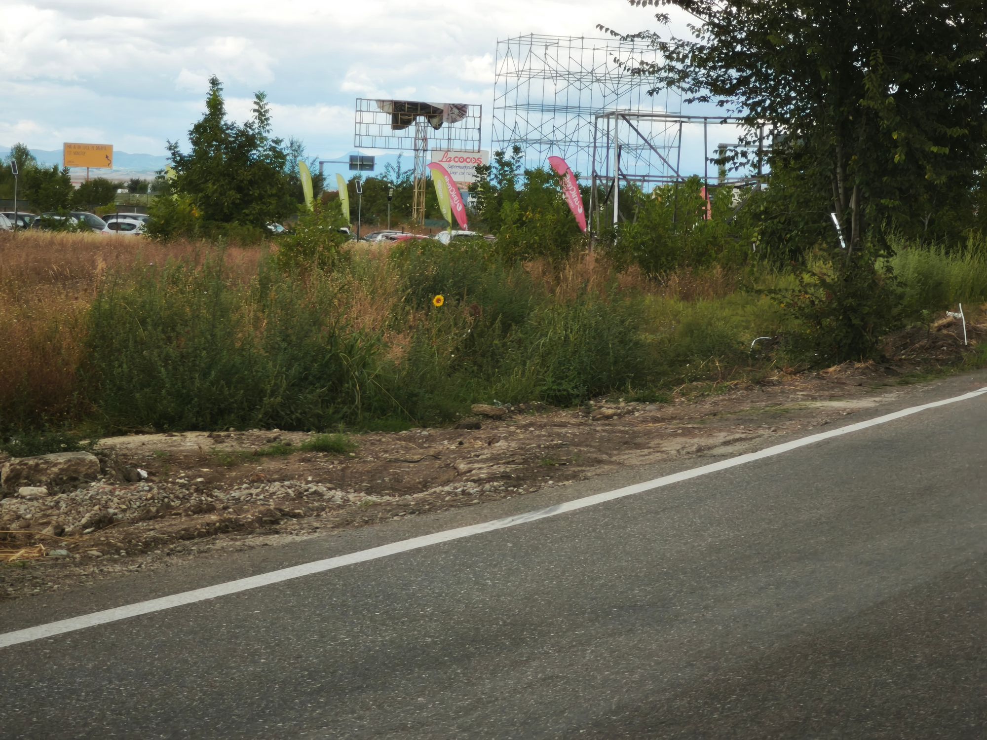 Ambrozie in Șoseaua Buftea 1B, Ploiești, Municipiu Ploiești, Județul Prahova - 1000100075.jpg