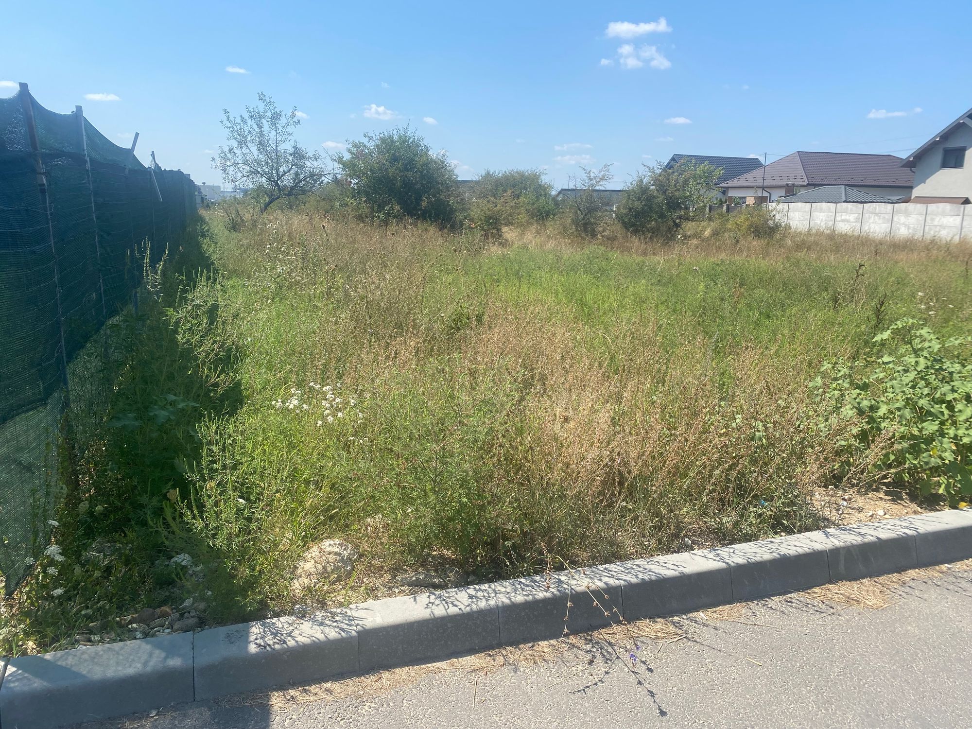 Ambrozie in Strada Egalitaţii 12a, Mioveni, Oraş Mioveni, Județul Argeș