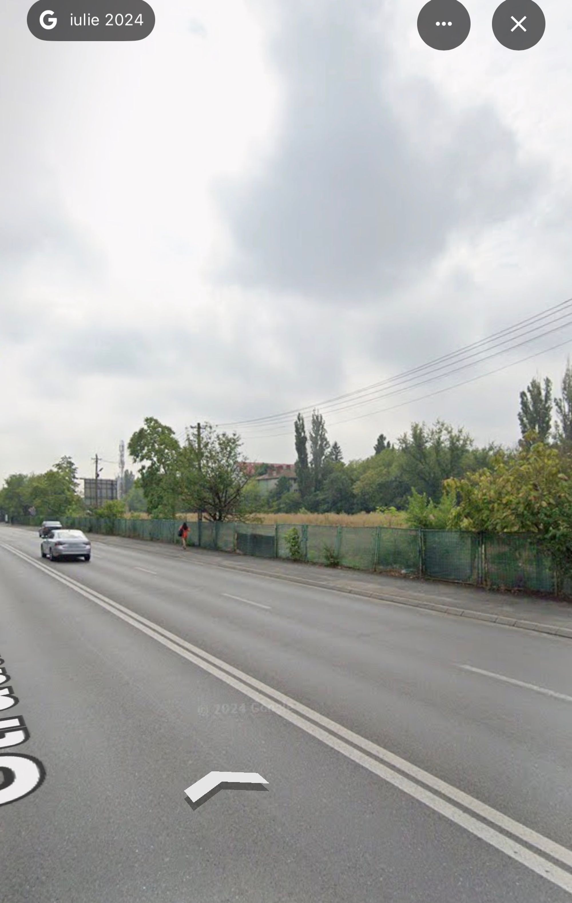 Ambrozie in Strada Jiului 61, București, Municipiul București
