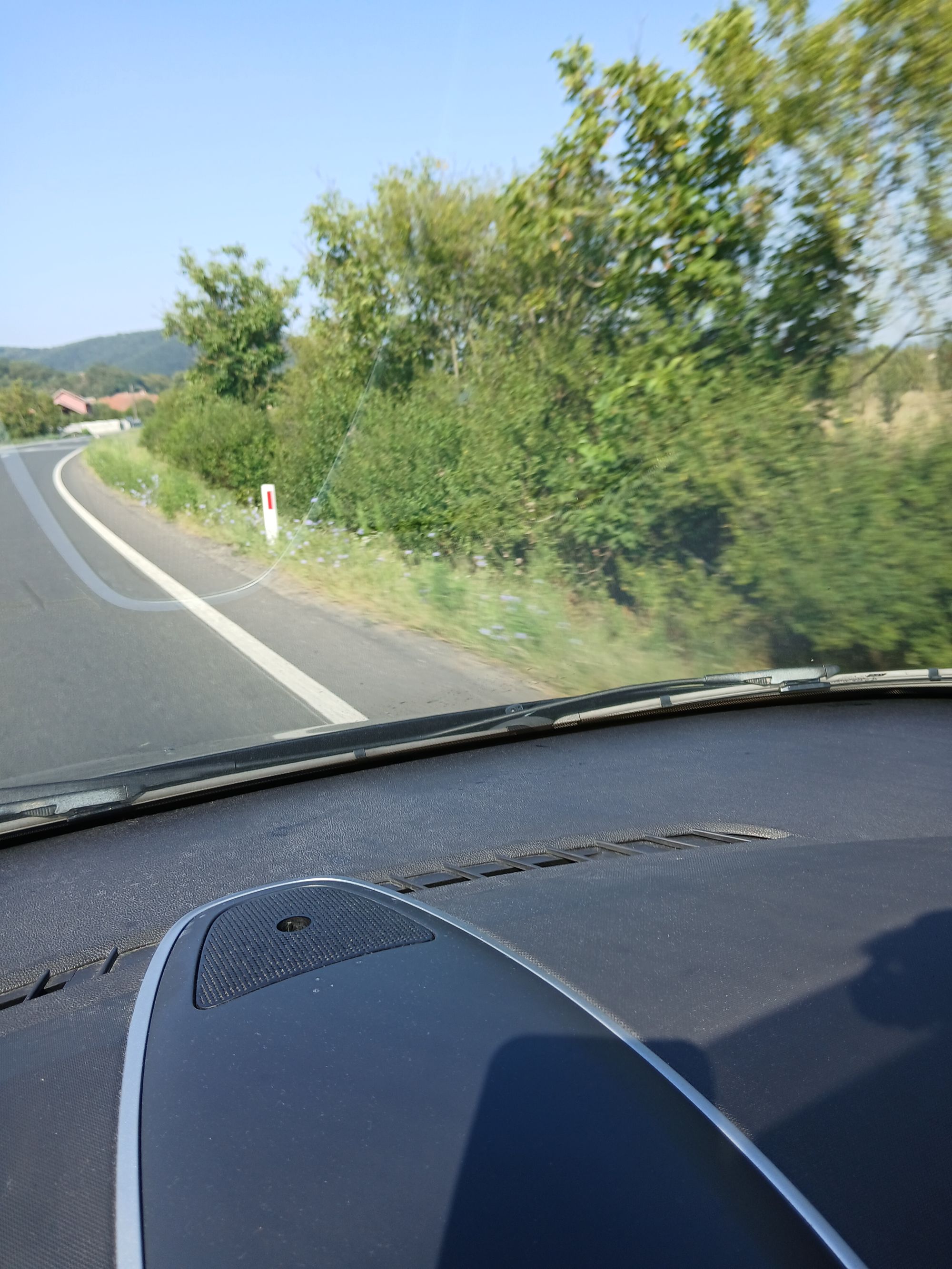 Ambrozie in Leșnic, Comuna Vețel, Județul Hunedoara - 20250817_102655.jpg