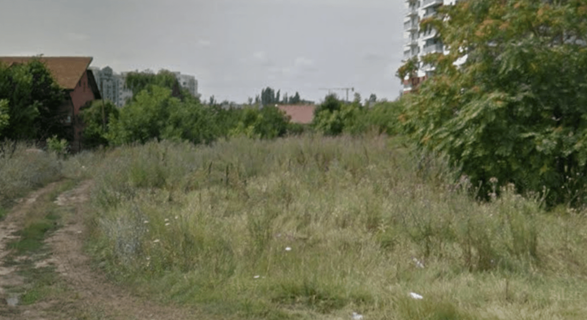 Ambrozie in Drumul Mănăstirea Văratec 061047, București, Municipiul București - amb1.png