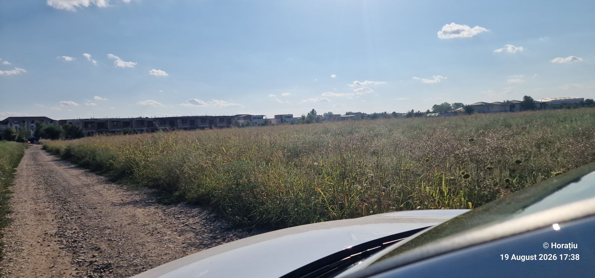Ambrozie in Otopeni, Oraș Otopeni, Județul Ilfov