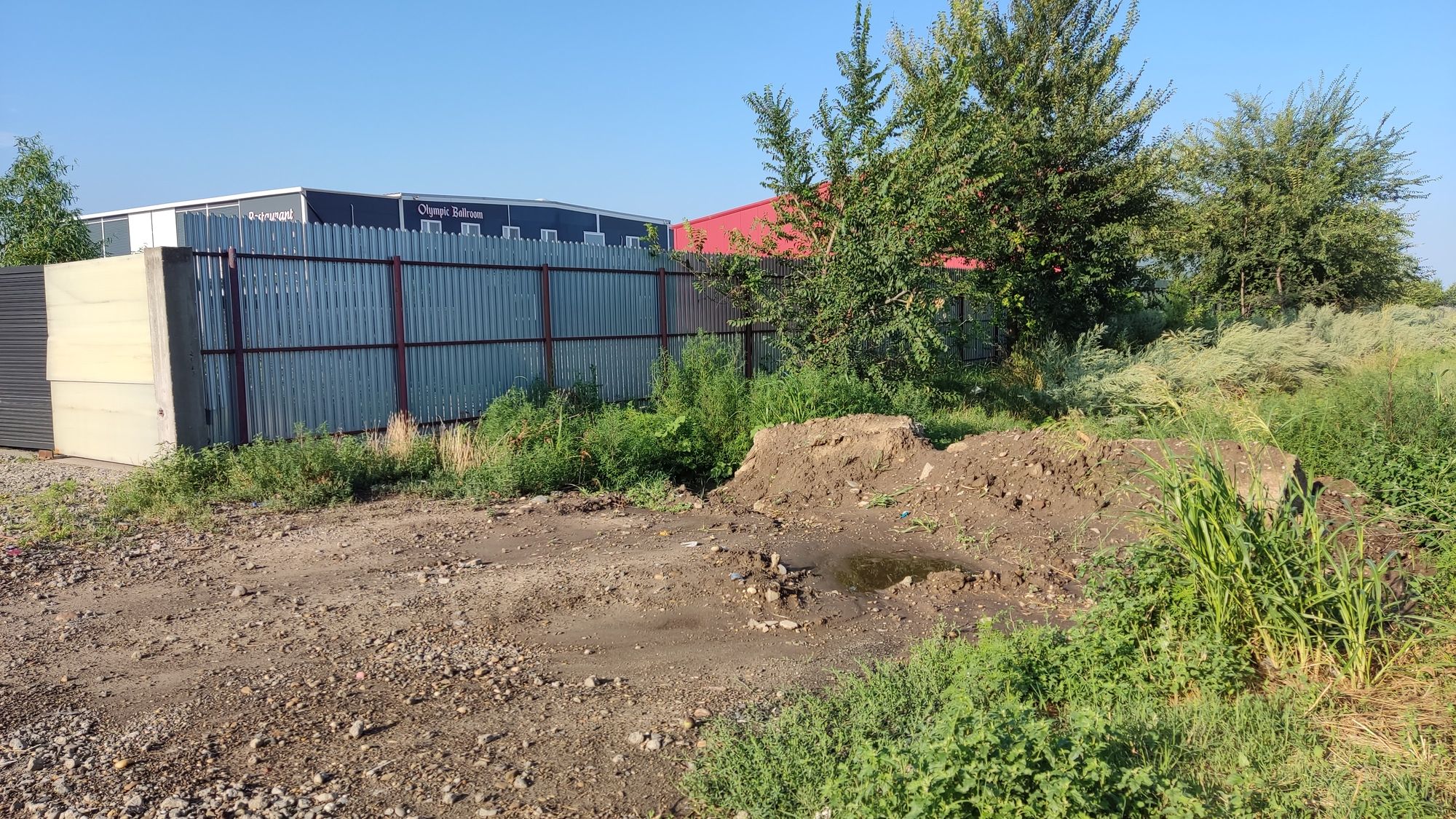 Ambrozie in Costi, Vanatori, Galați - IMG_20230723_182812.jpg