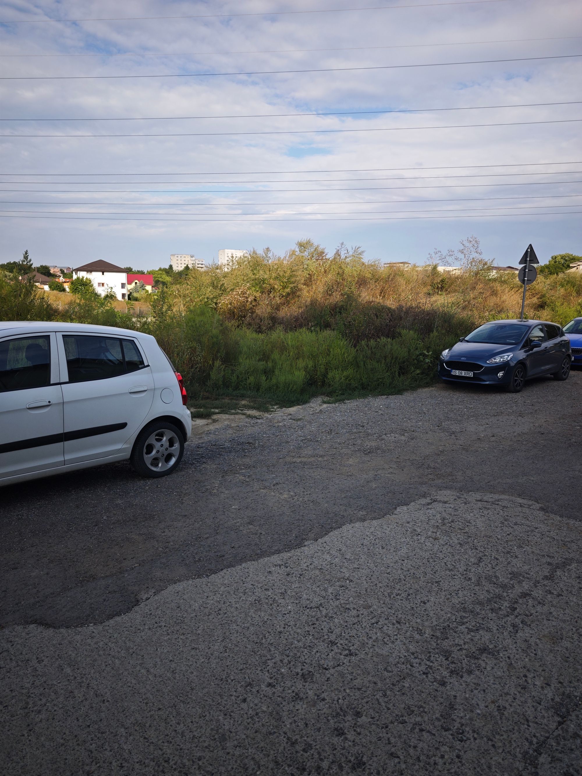 Ambrozie in Strada Profesor Emil Honoriu 3, Iași, Municipiu Iași, Județul Iași