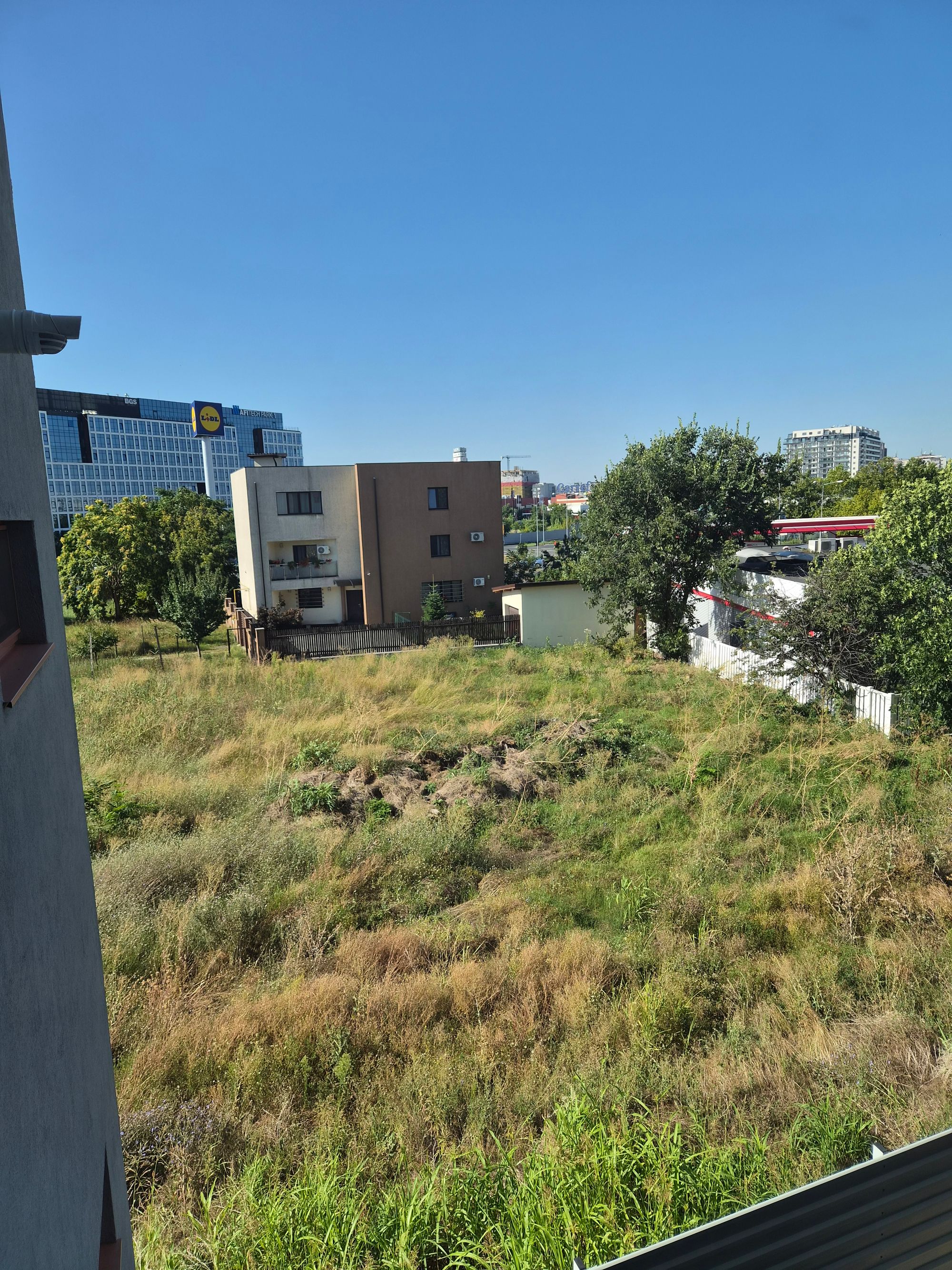 Ambrozie in Strada Locotenent Petre Linteș 33a, București, Municipiul București