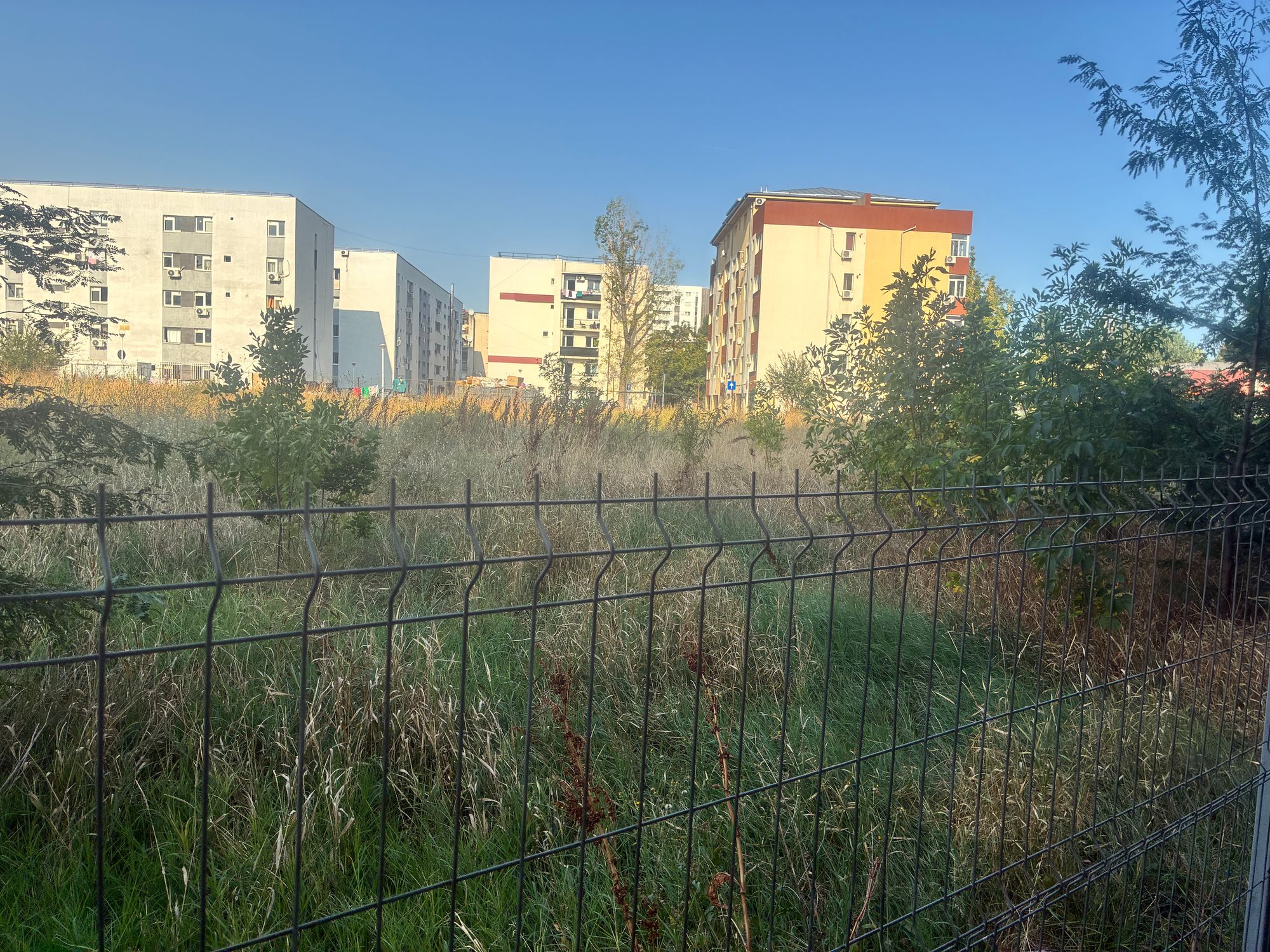 Ambrozie in Drumul Crețeștilor 29, București, Municipiul București