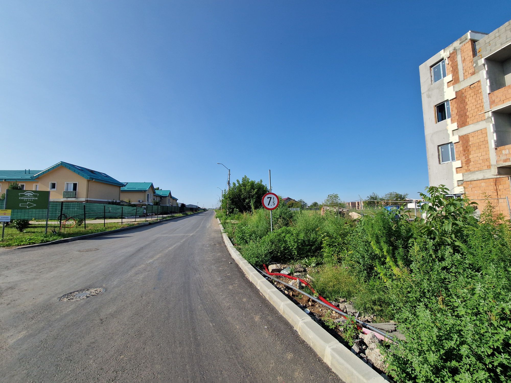 Ambrozie in Strada Europa 31, Comuna Ștefăneștii de Jos, Județul Ilfov - 20240727_090541.jpg