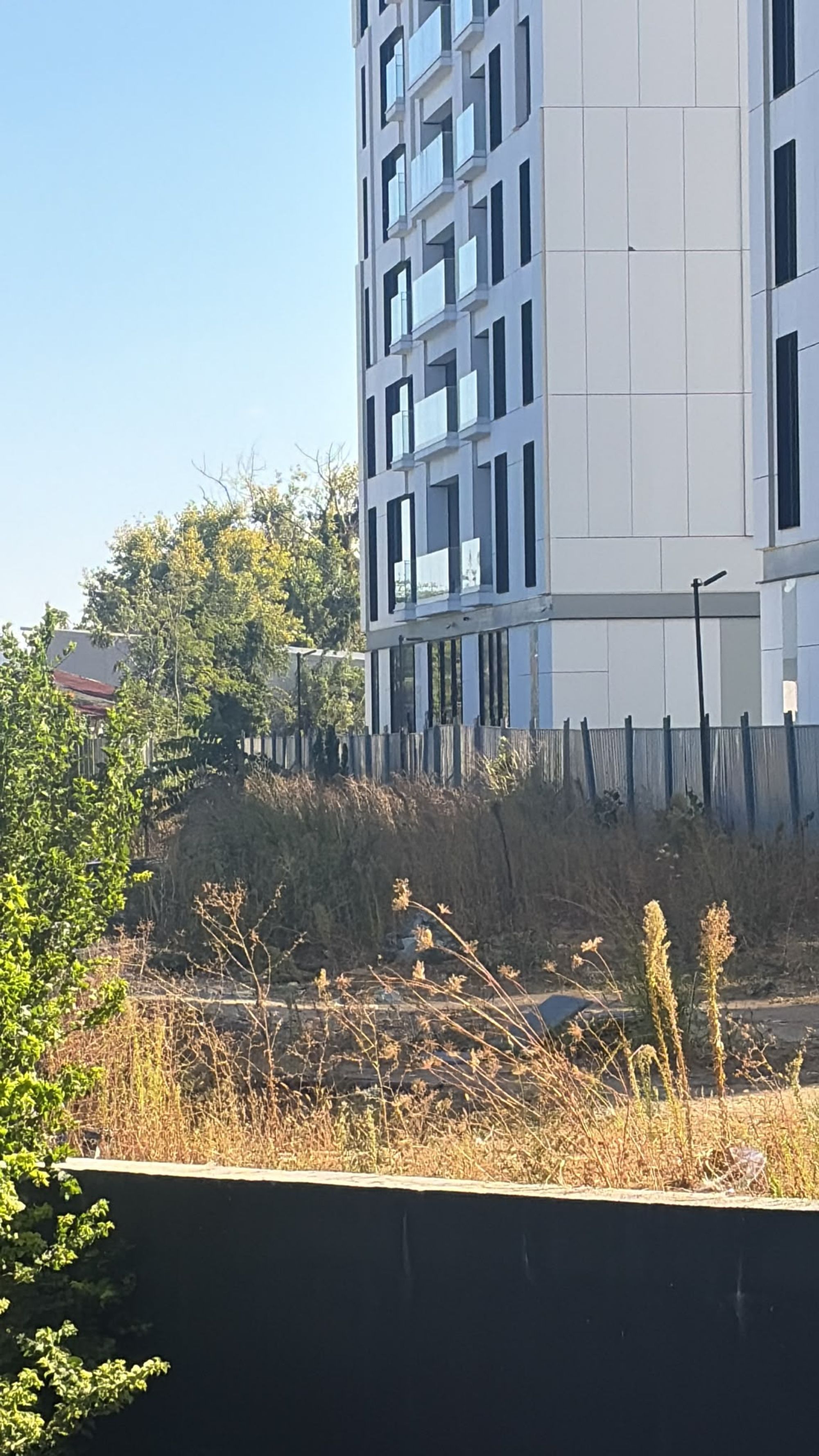 Ambrozie in Șos. Panduri 77, București, Municipiul București