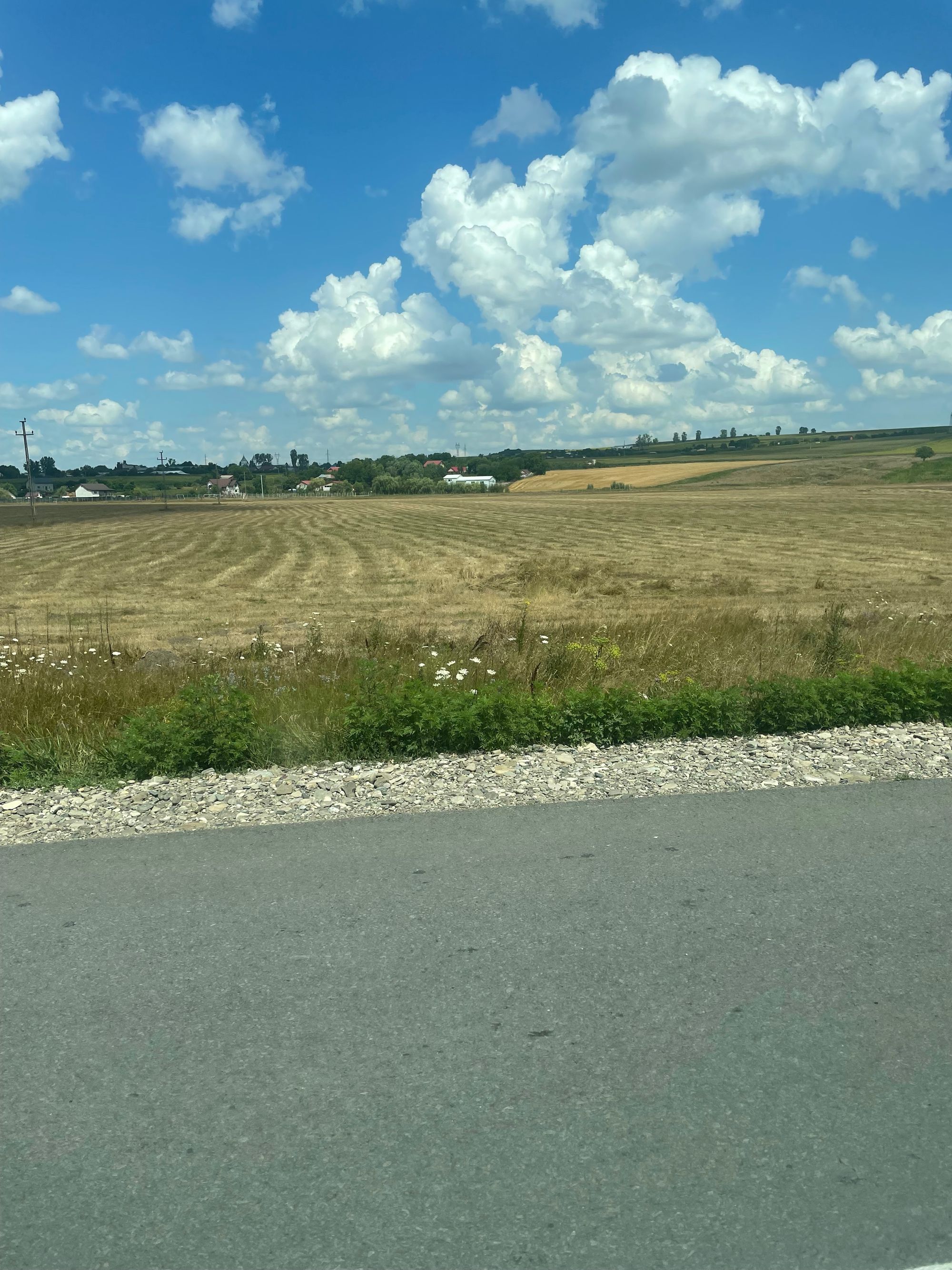 Ambrozie in E583, Oraș Podu Iloaiei, Județul Iași - IMG_2242.jpeg