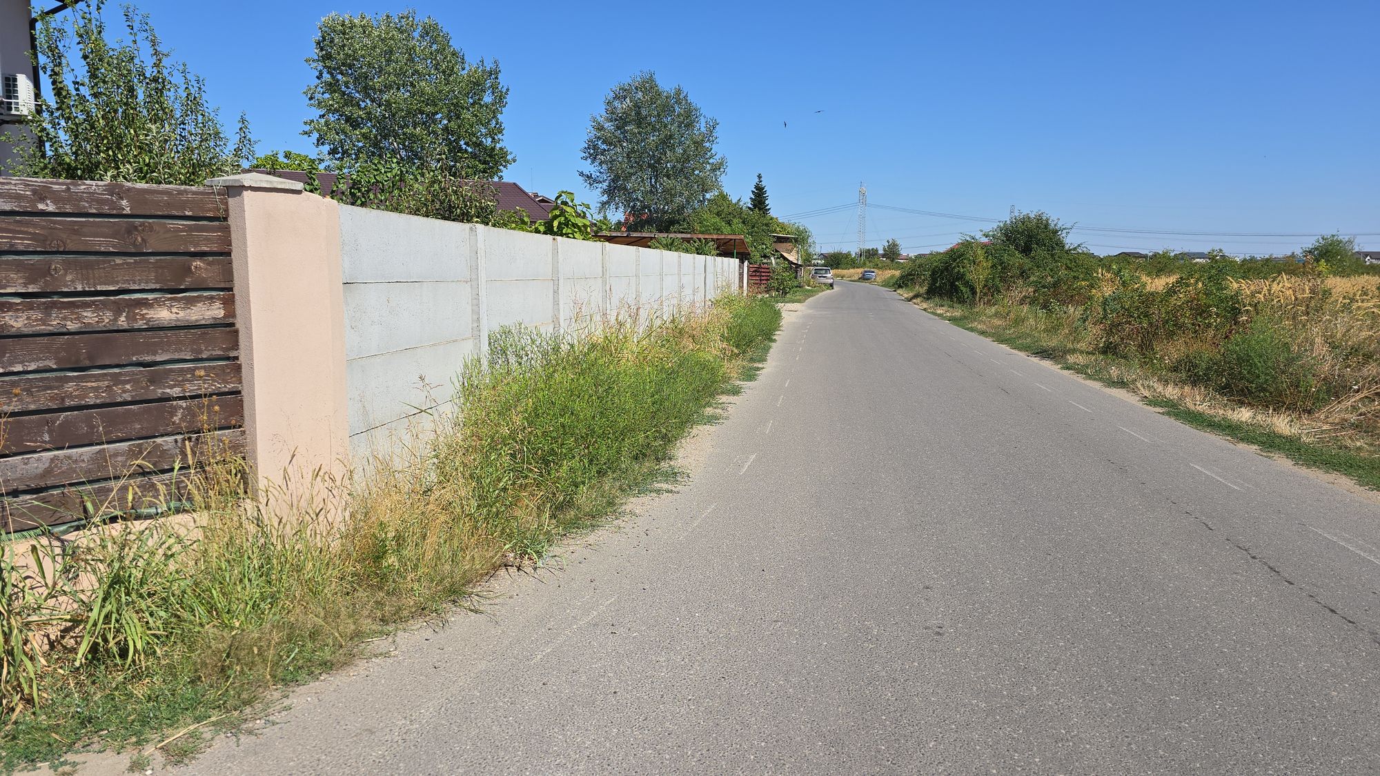 Ambrozie in Intrarea Puțul Olteni 4, Domnești, Comuna Clinceni, Județul Ilfov - IMG-20250828-WA0017.jpeg