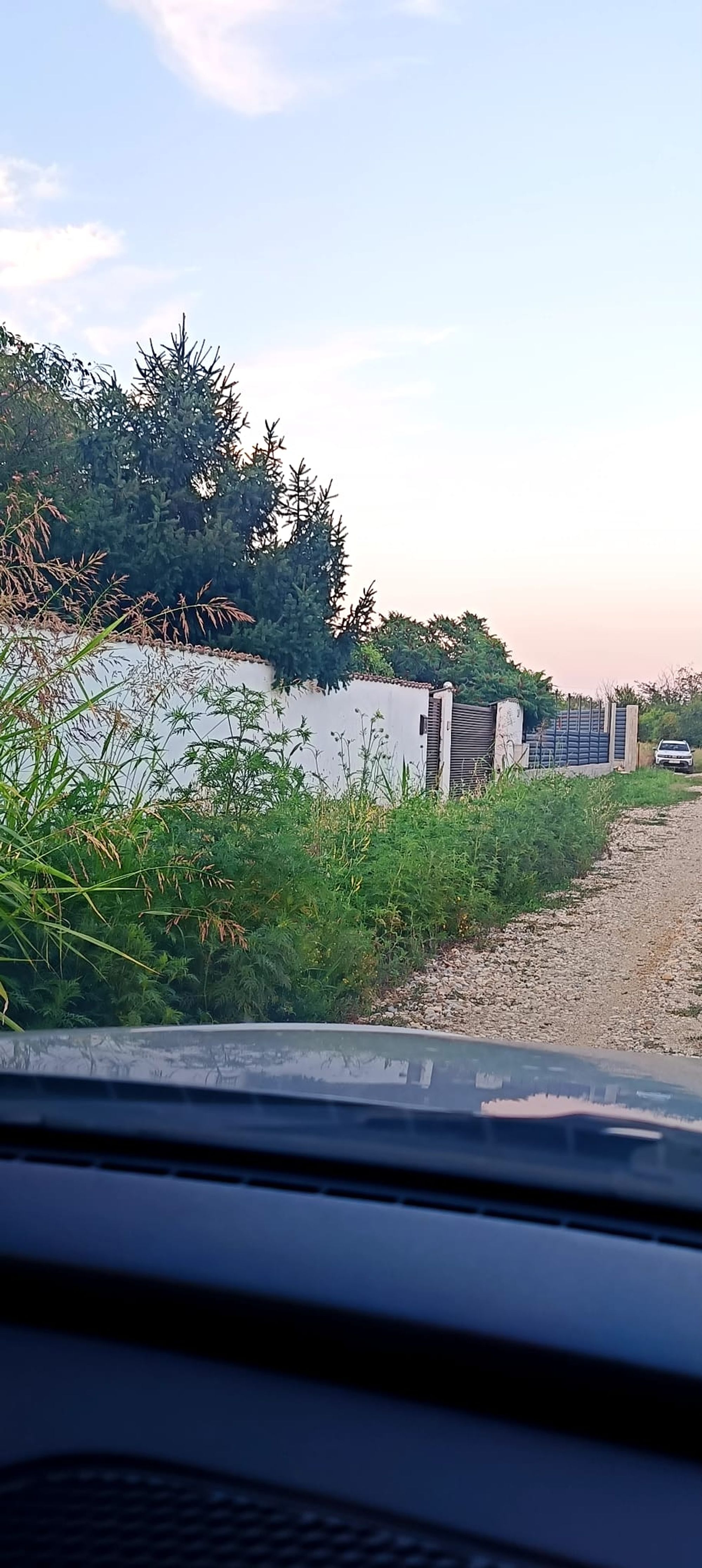 Ambrozie in Strada Nucului nr. 14, Țegheș, Comuna Domnești, Județul Ilfov - IMG-20260711-WA0012.jpg