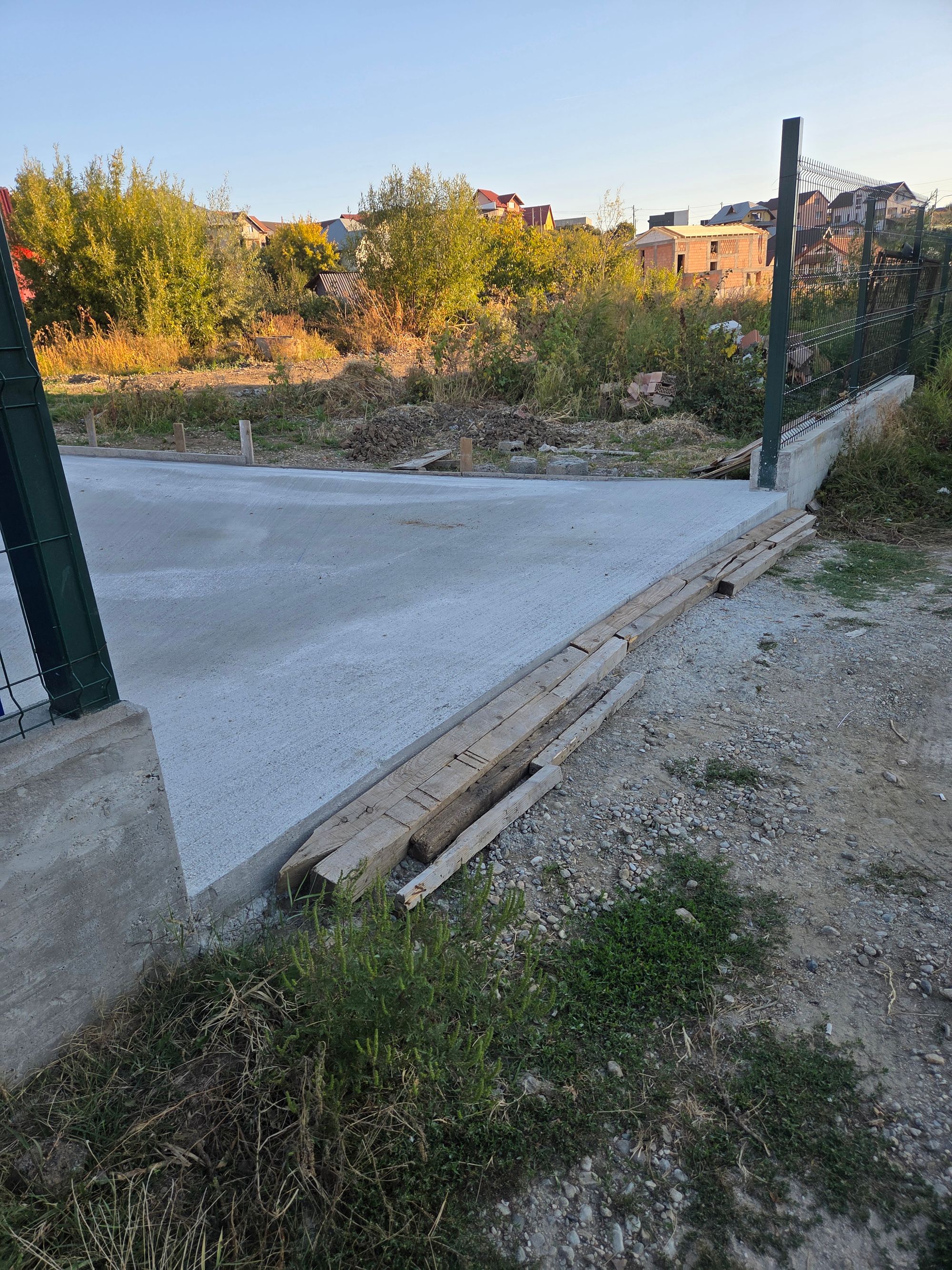 Ambrozie in Strada Valea Geamăna 144, Geamăna, Comuna Bradu, Județul Argeș
