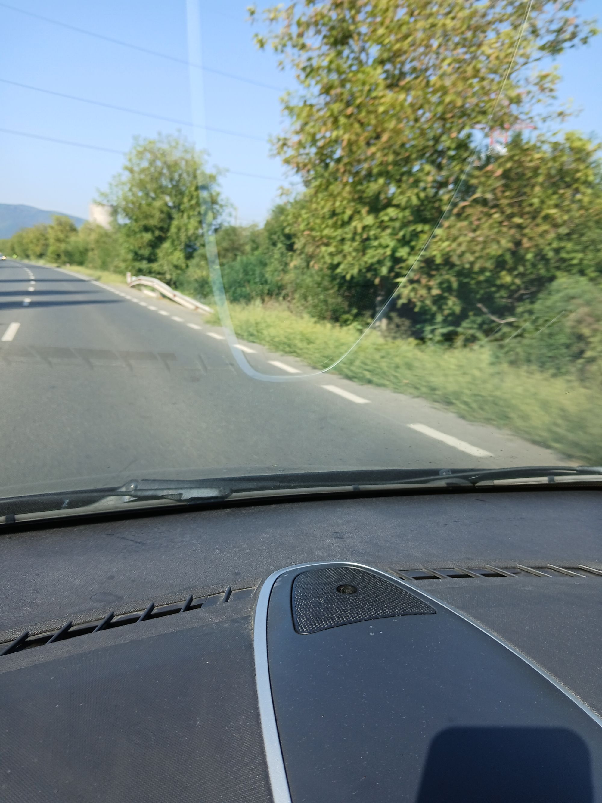 Ambrozie in Mintia, Comuna Vețel, Județul Hunedoara - 20250817_102124.jpg