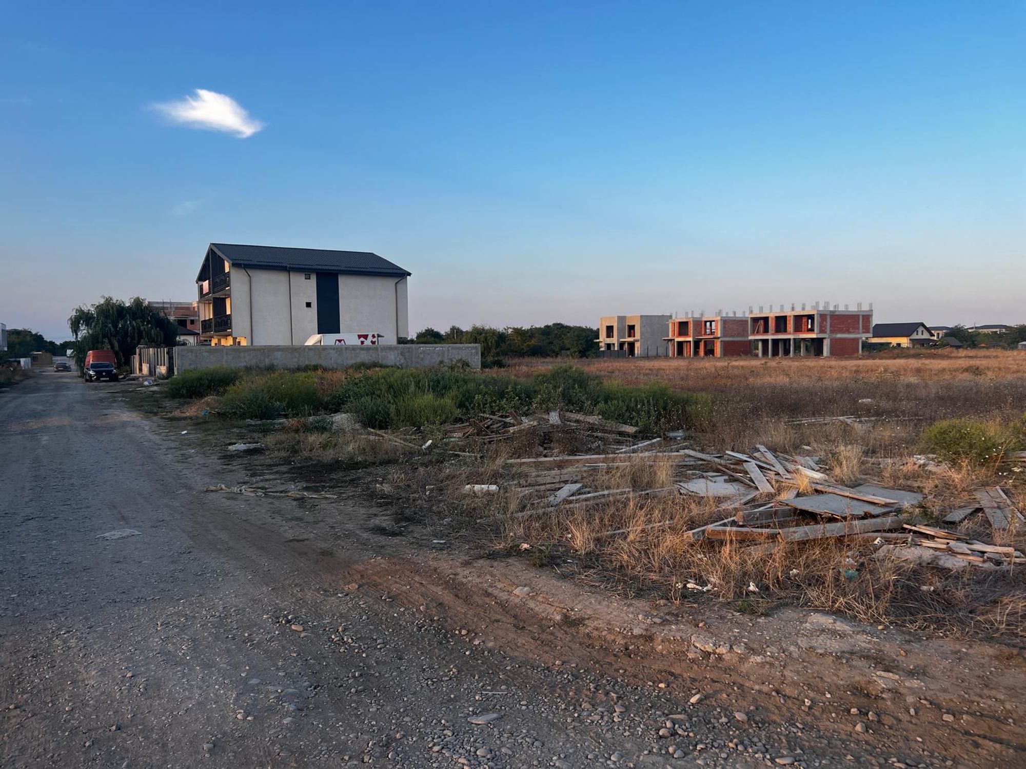 Ambrozie in Strada Teiului 57, Ilfov, Comuna Tunari, Județul Ilfov - WhatsApp Image 2025-09-08 at 19.01.22 (2).jpeg