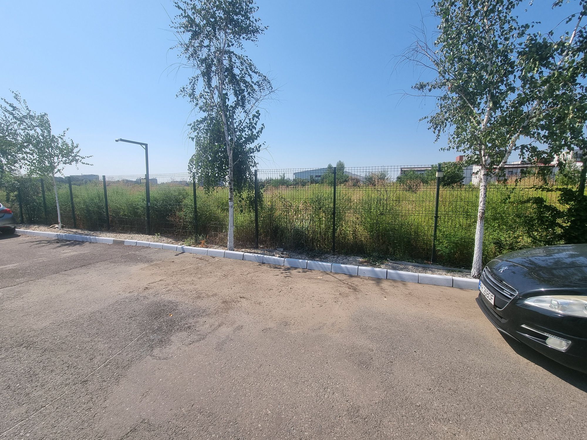 Ambrozie in Aleea Smaraldului 7, Ploieștiori, Comuna Blejoi, Județul Prahova - 1000175824.jpg