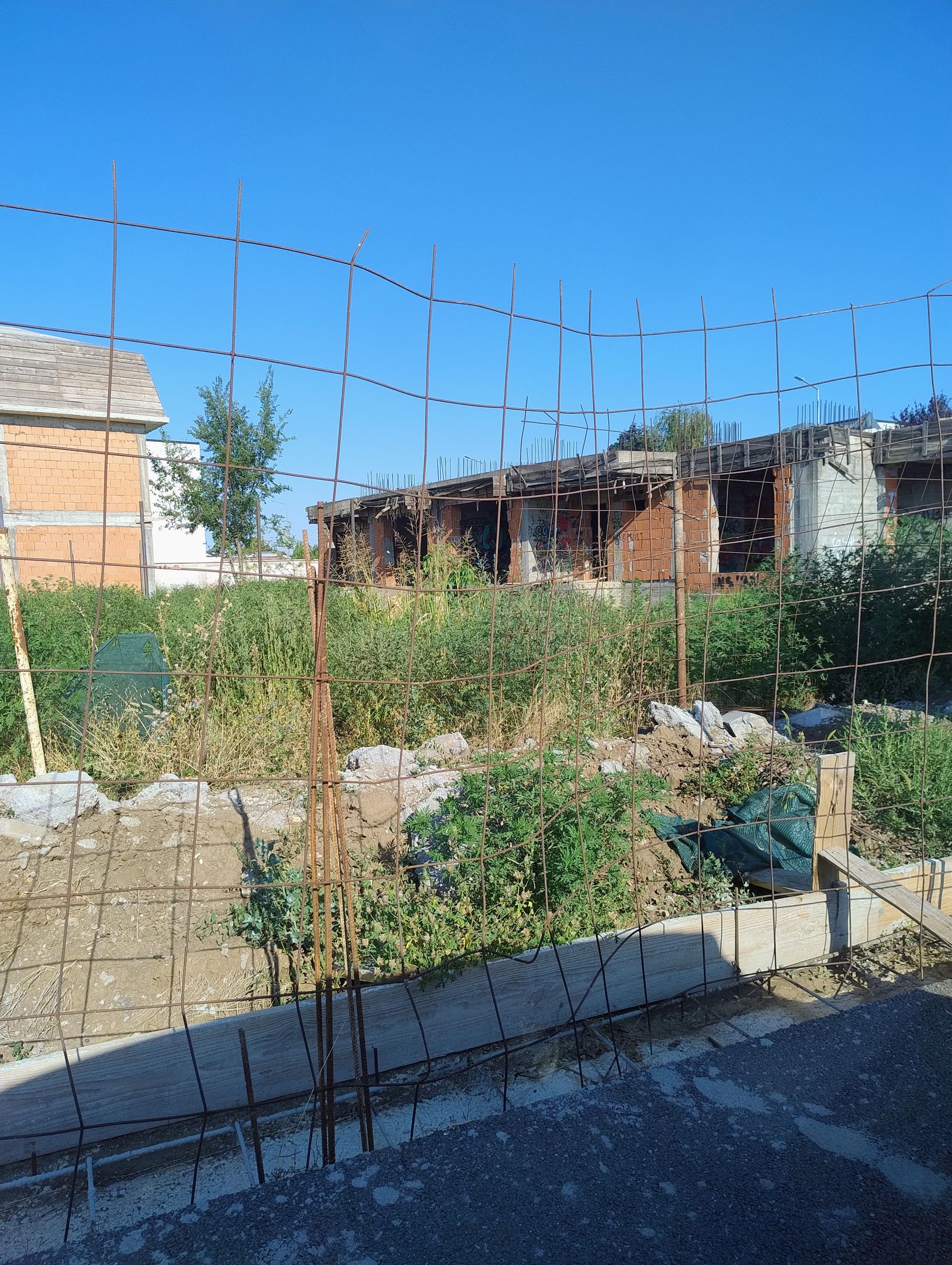 Ambrozie in Strada Toamnei 1, Bragadiru, Oraș Bragadiru, Județul Ilfov - 1000030316.jpg