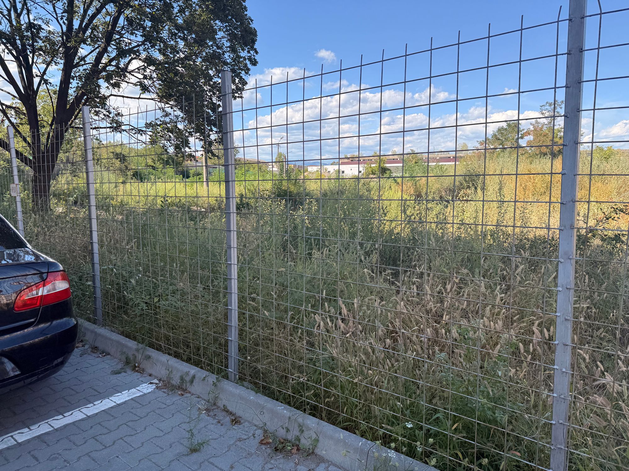 Ambrozie in Strada Vasile Alecsandri 36A, Alba Iulia, Municipiu Alba Iulia, Județul Alba