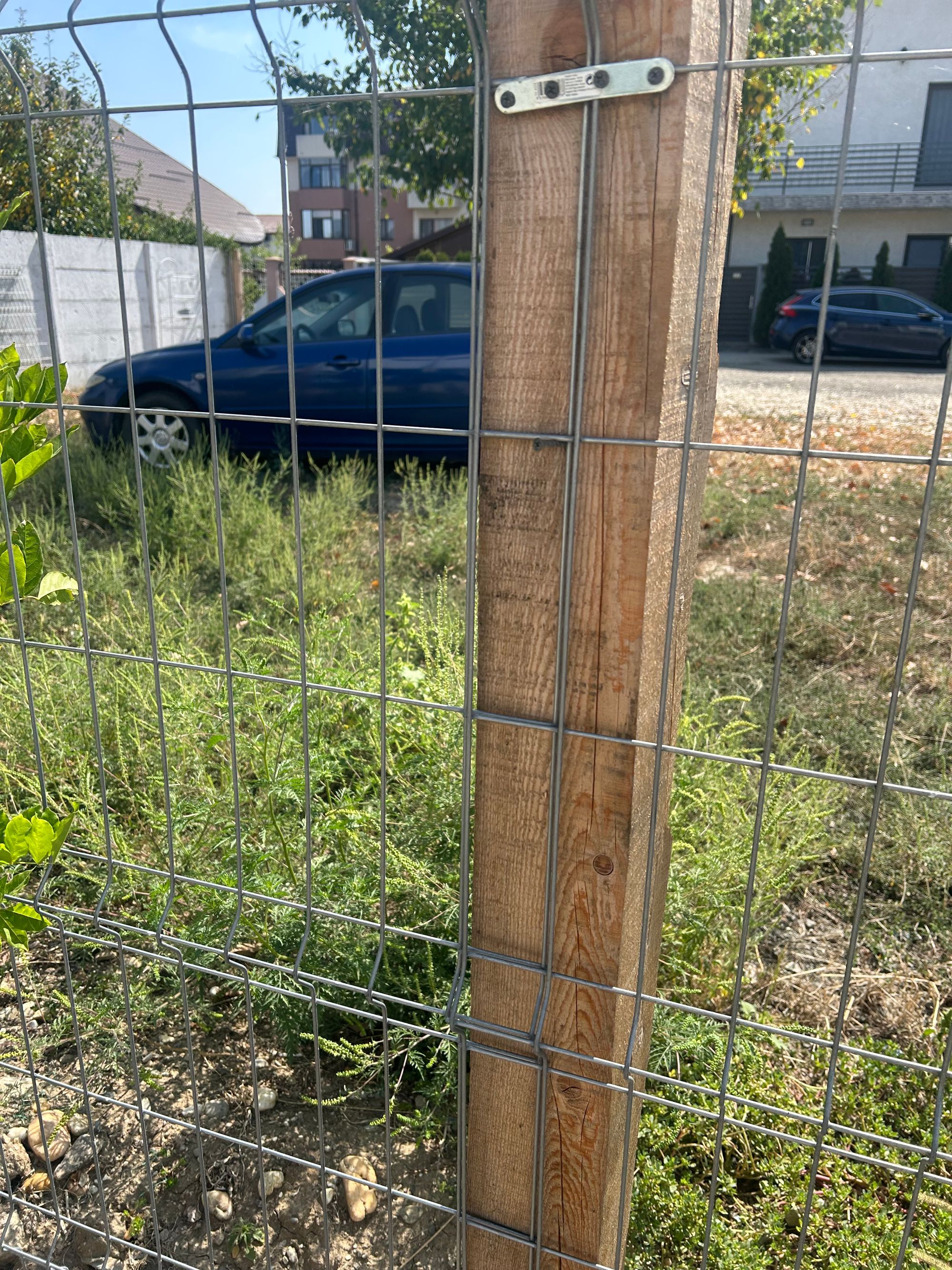 Ambrozie in Strada Safirului 28, Bragadiru, Oraş Bragadiru, Județul Ilfov - IMG_7887.jpeg