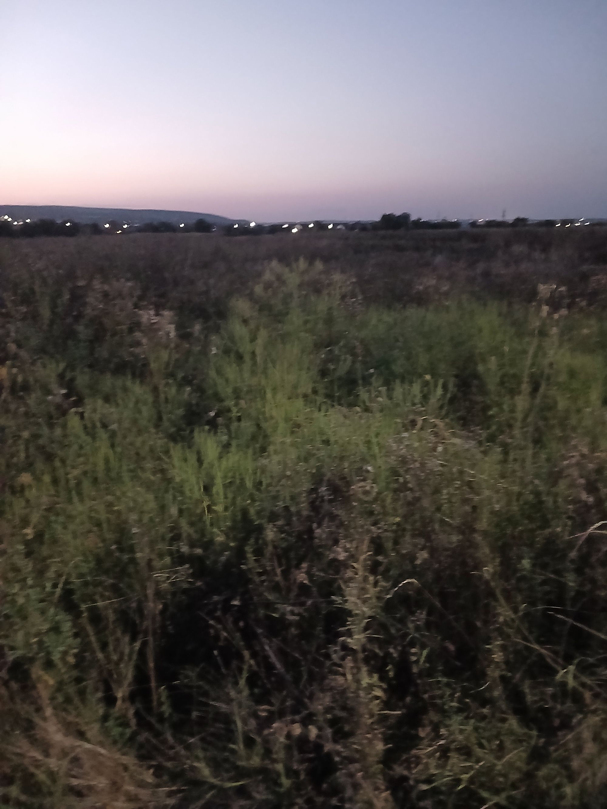 Ambrozie in Mărgineni, Comuna Mărgineni, Județul Bacău