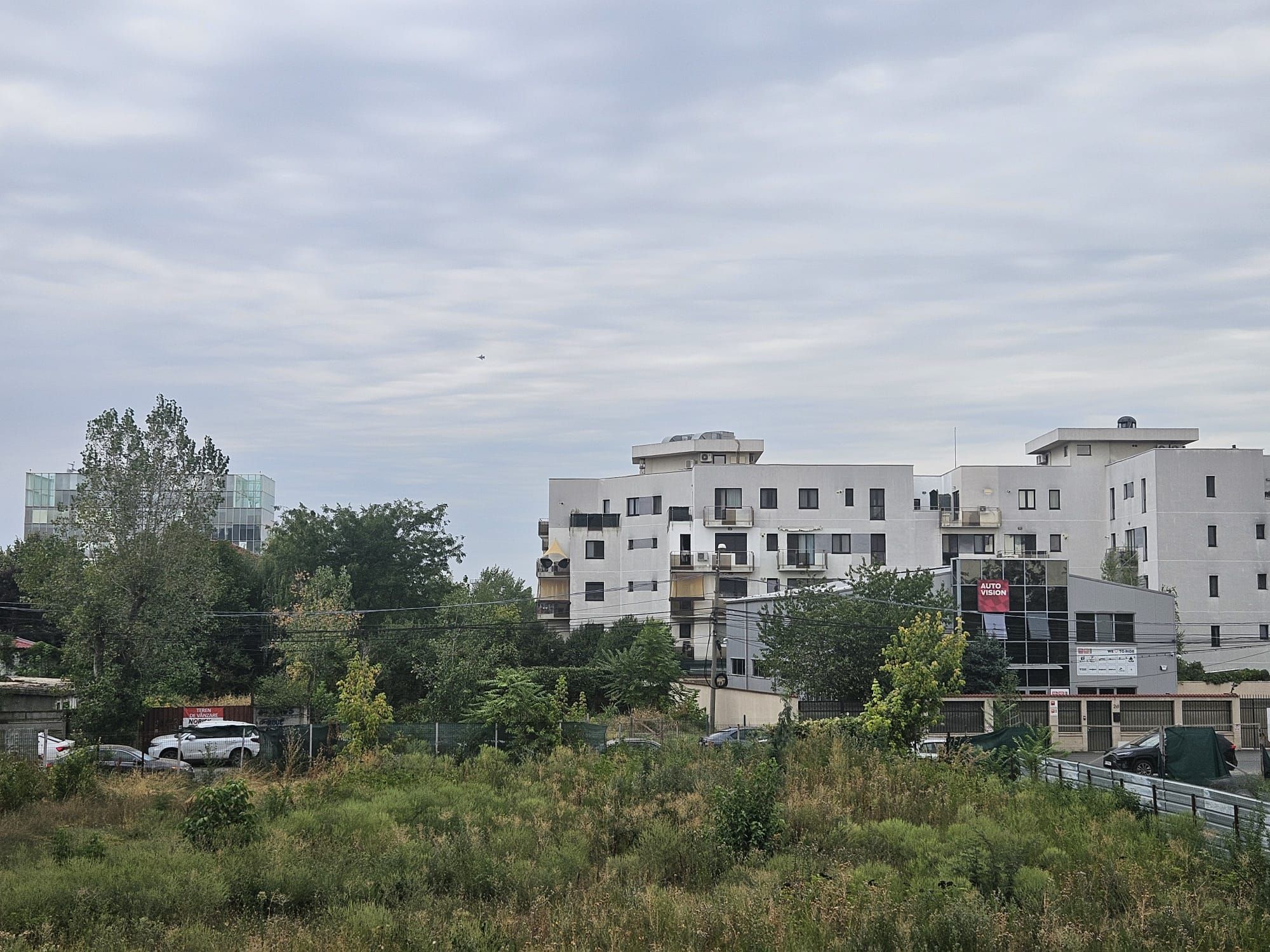 Ambrozie in Intrarea Străulești 2d, București, Municipiul București - 7243b489-e3d8-430c-ba76-fdb7671e1496.jpeg