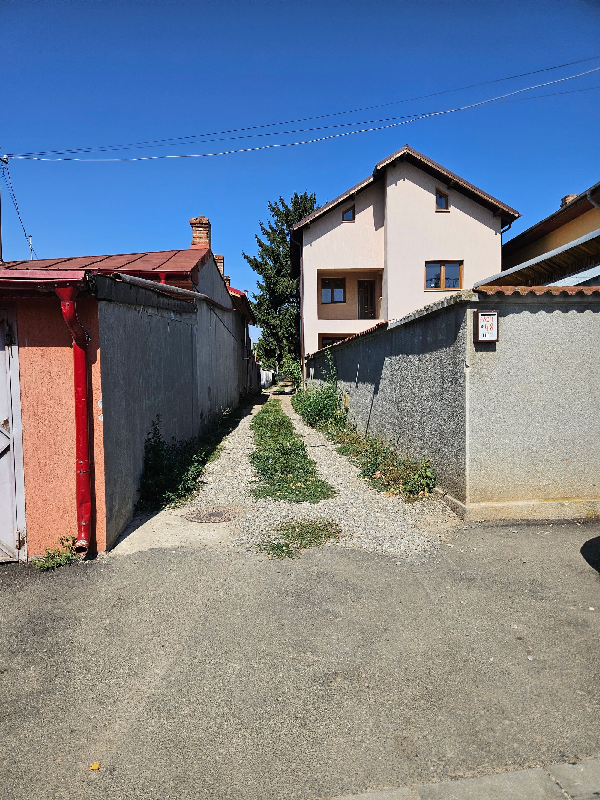 Ambrozie in Strada Păcii 50, Chiajna, Comuna Chiajna, Județul Ilfov - 20250908_113405.jpg
