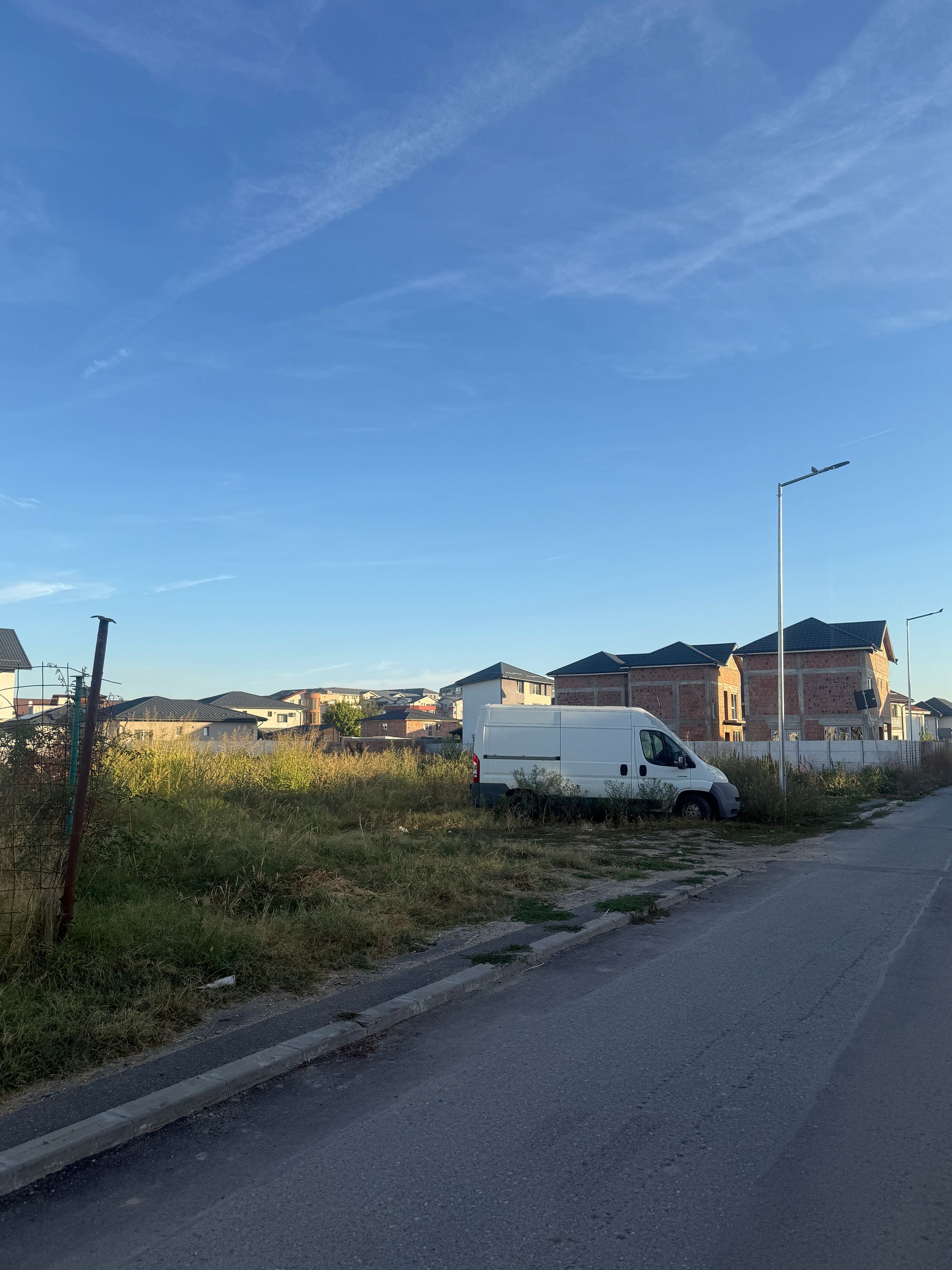 Ambrozie in Strada Freamătului 18, Bragadiru, Oraș Bragadiru, Județul Ilfov