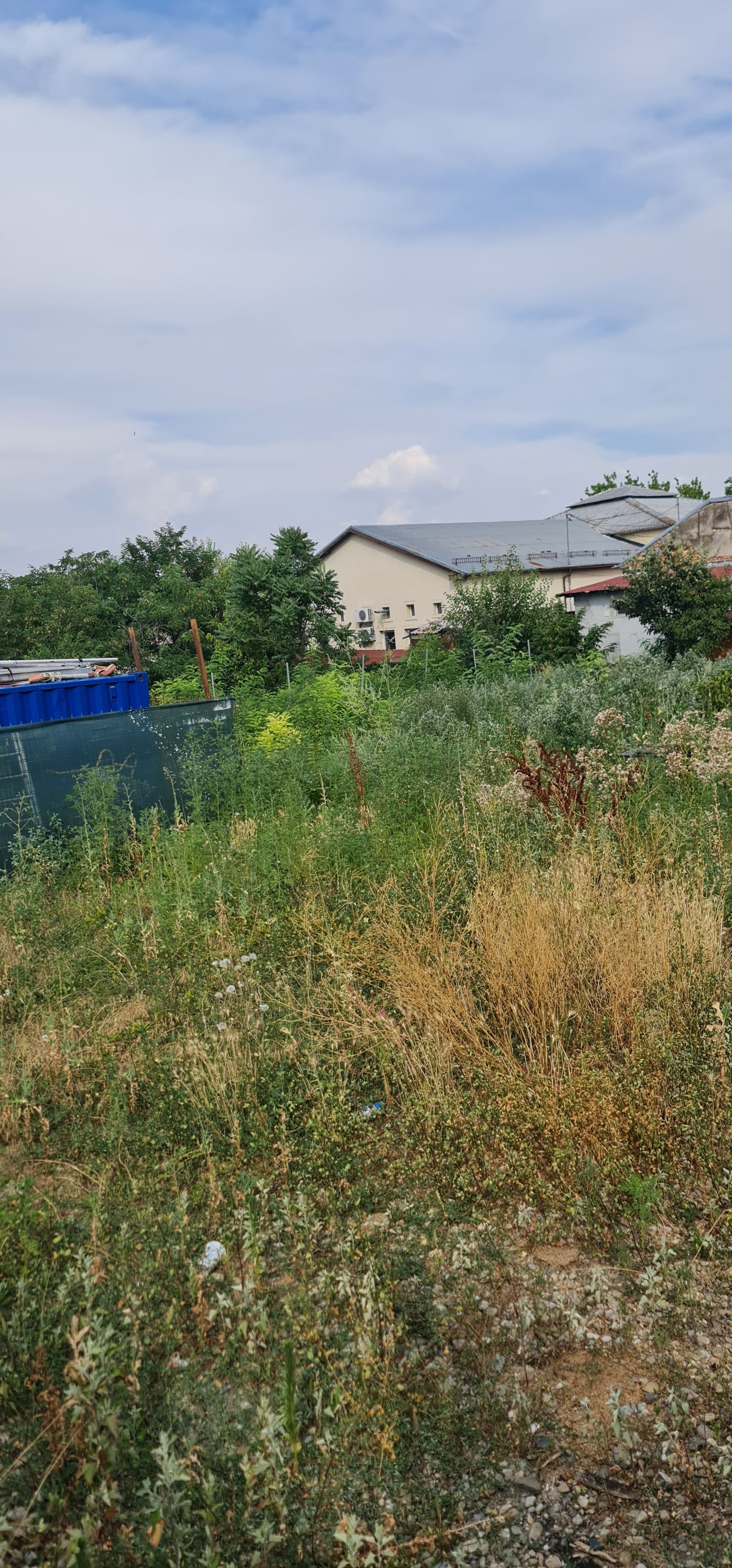 Ambrozie in Strada Sighet 41a, București, Municipiul București