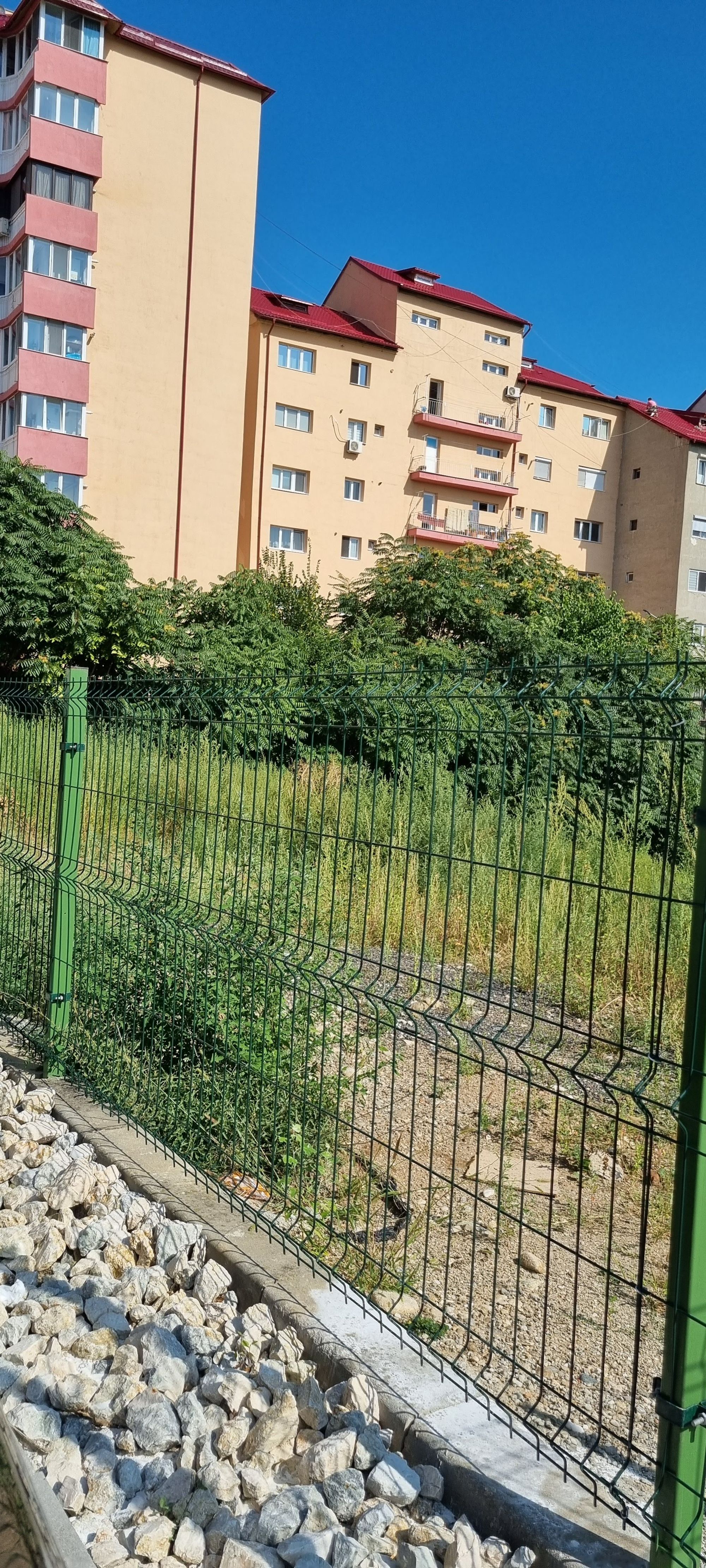 Ambrozie in Bulevardul Mircea cel Bătrân H3, Târgoviște, Municipiu Târgovişte, Județul Dâmbovița - 20230901_104553.jpg