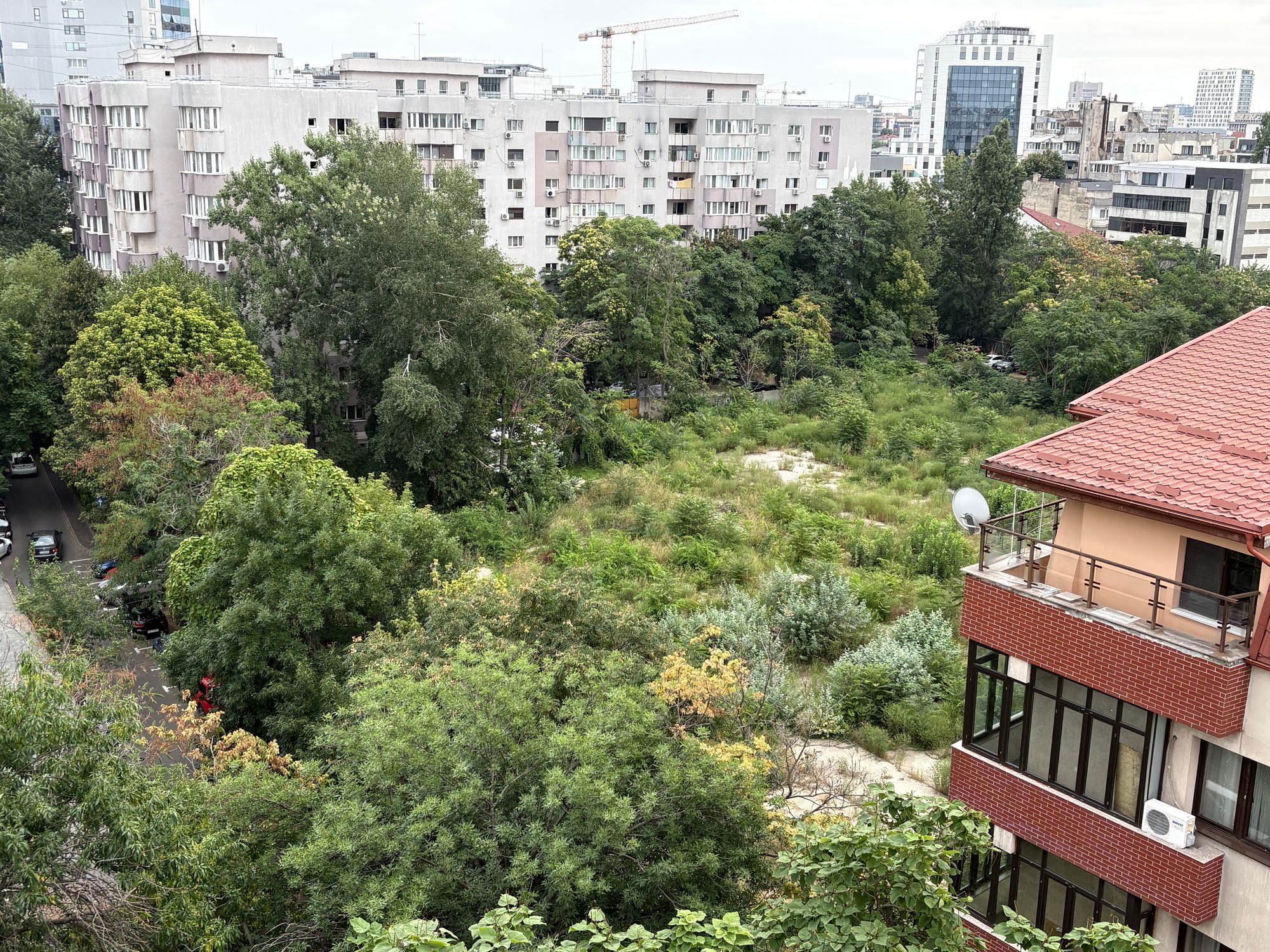 Ambrozie in Int. Dr. Iacob Felix 3, București, Municipiul București