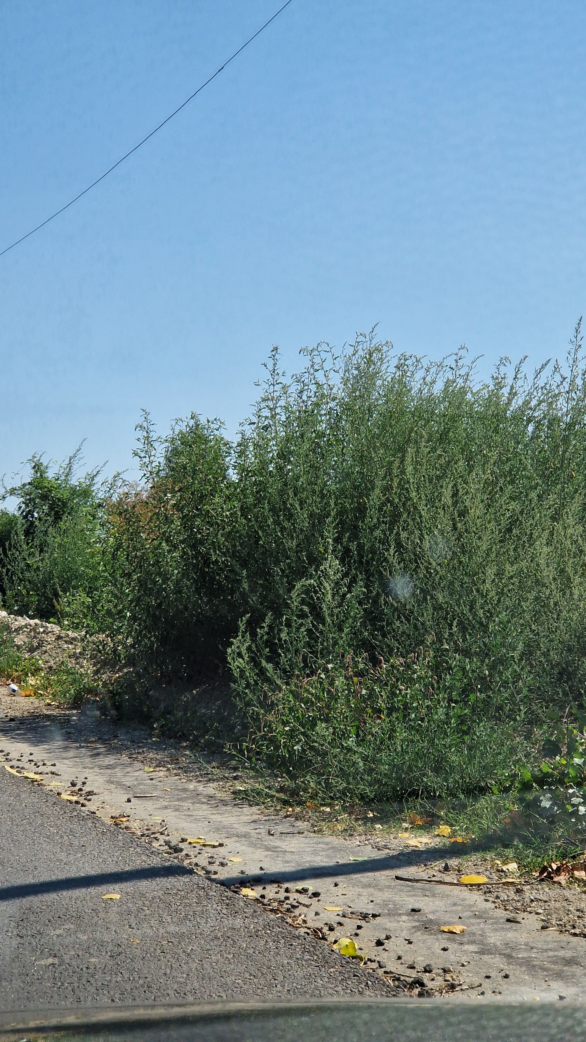 Ambrozie in Cochinești, Comuna Stolnici, Județul Argeș
