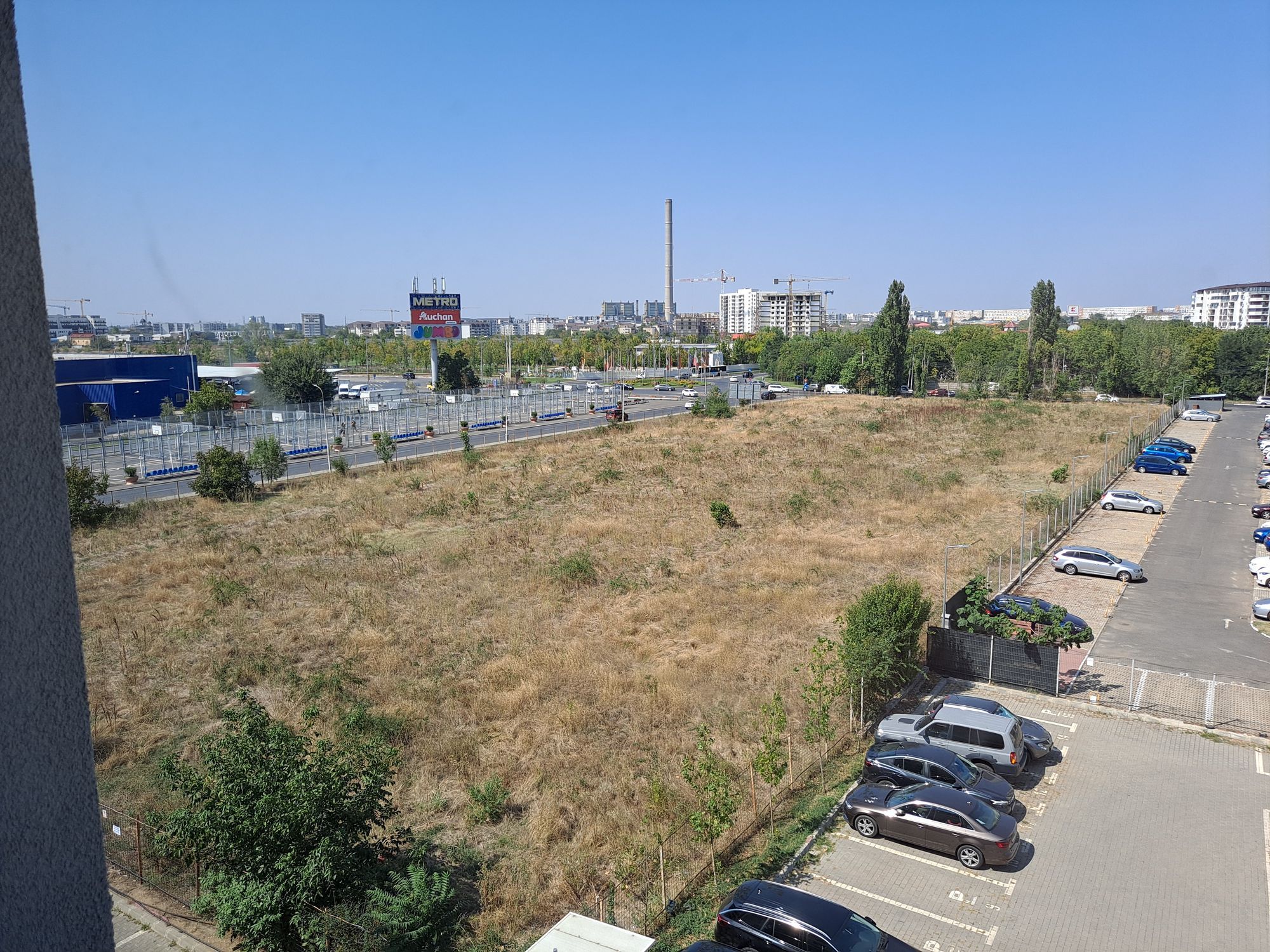 Ambrozie in Bulevardul Metalurgiei 214 - 220, București, Municipiul București - ambrozie.jpeg