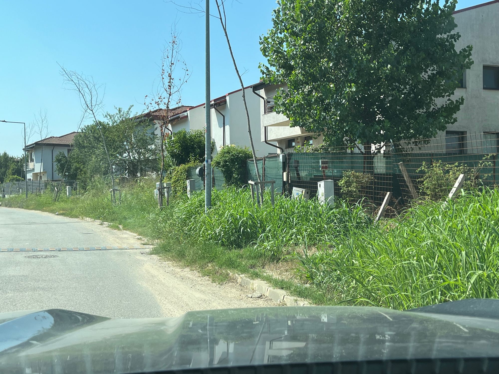 Ambrozie in Strada Tiberiu Olah 9, București, Municipiul București