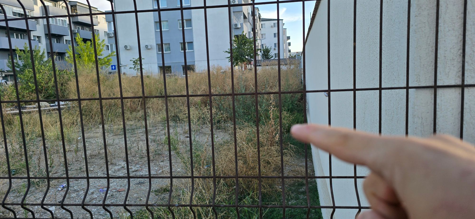 Ambrozie in Drumul Gura Făgetului 73, București, Municipiul București