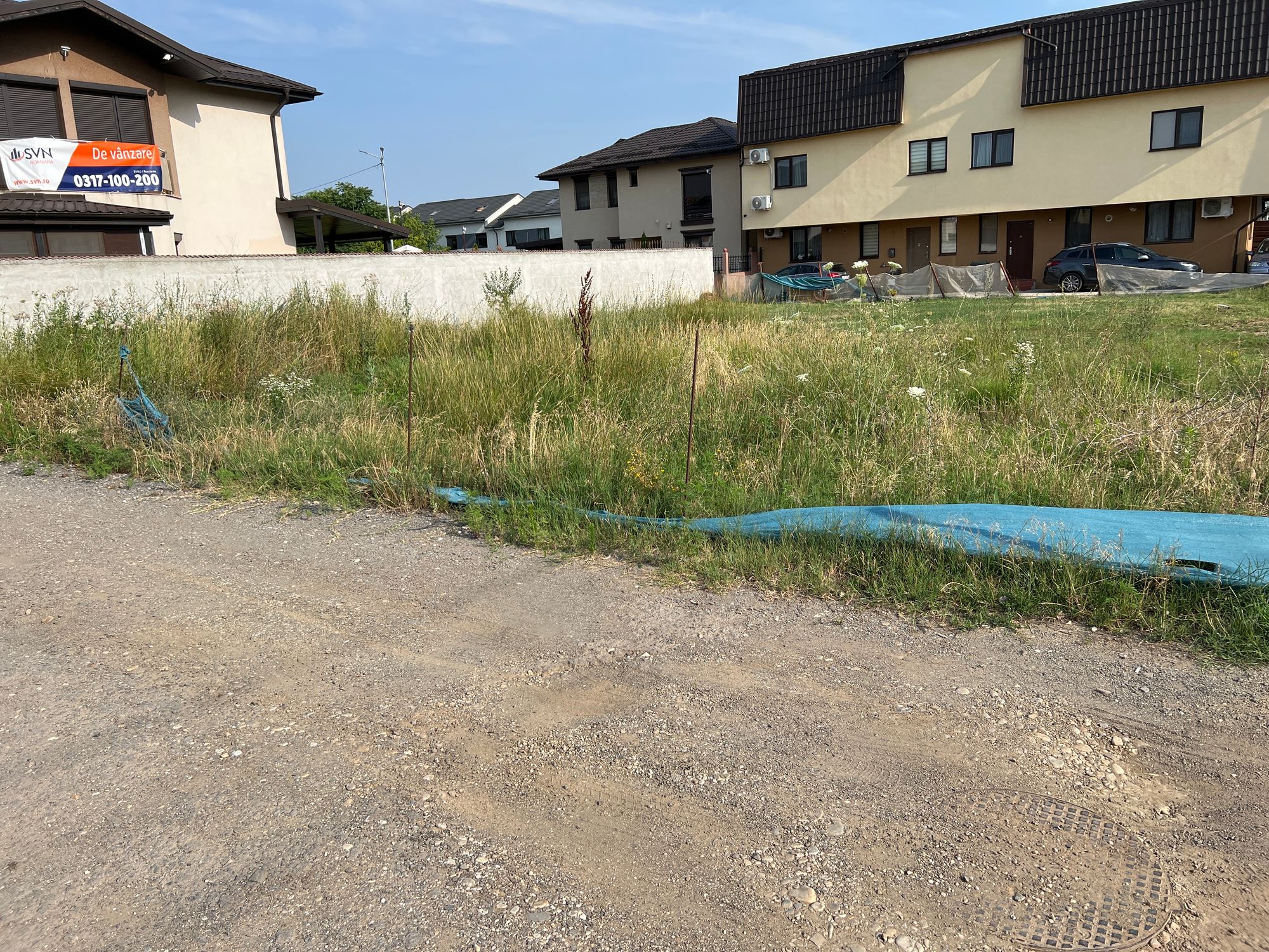 Ambrozie in Strada Acvilei 38, Roșu, Comuna Chiajna, Județul Ilfov - image.jpg