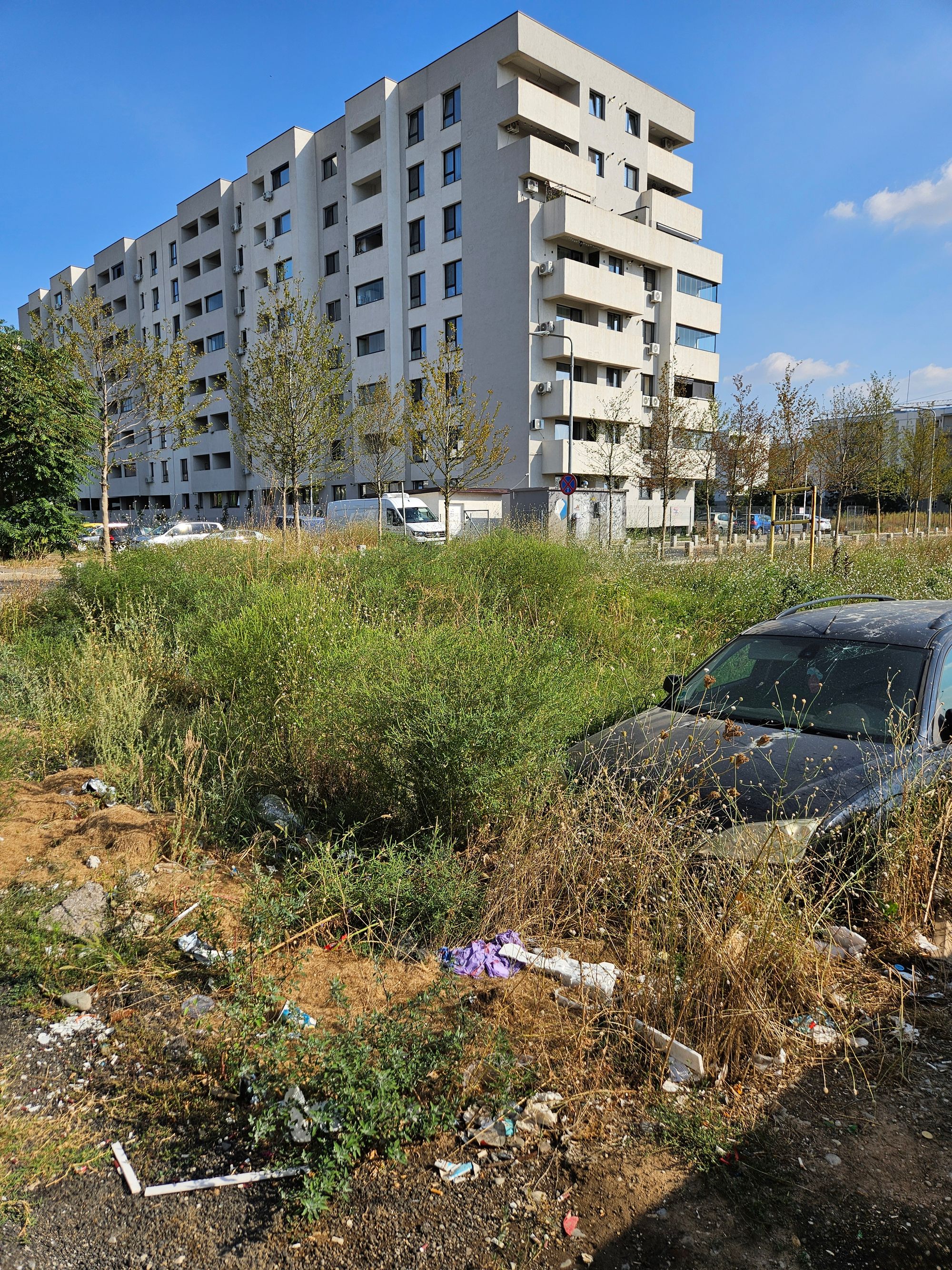 Ambrozie in Strada Postalionului 38, București, Municipiul București - 20260826_163914.jpg