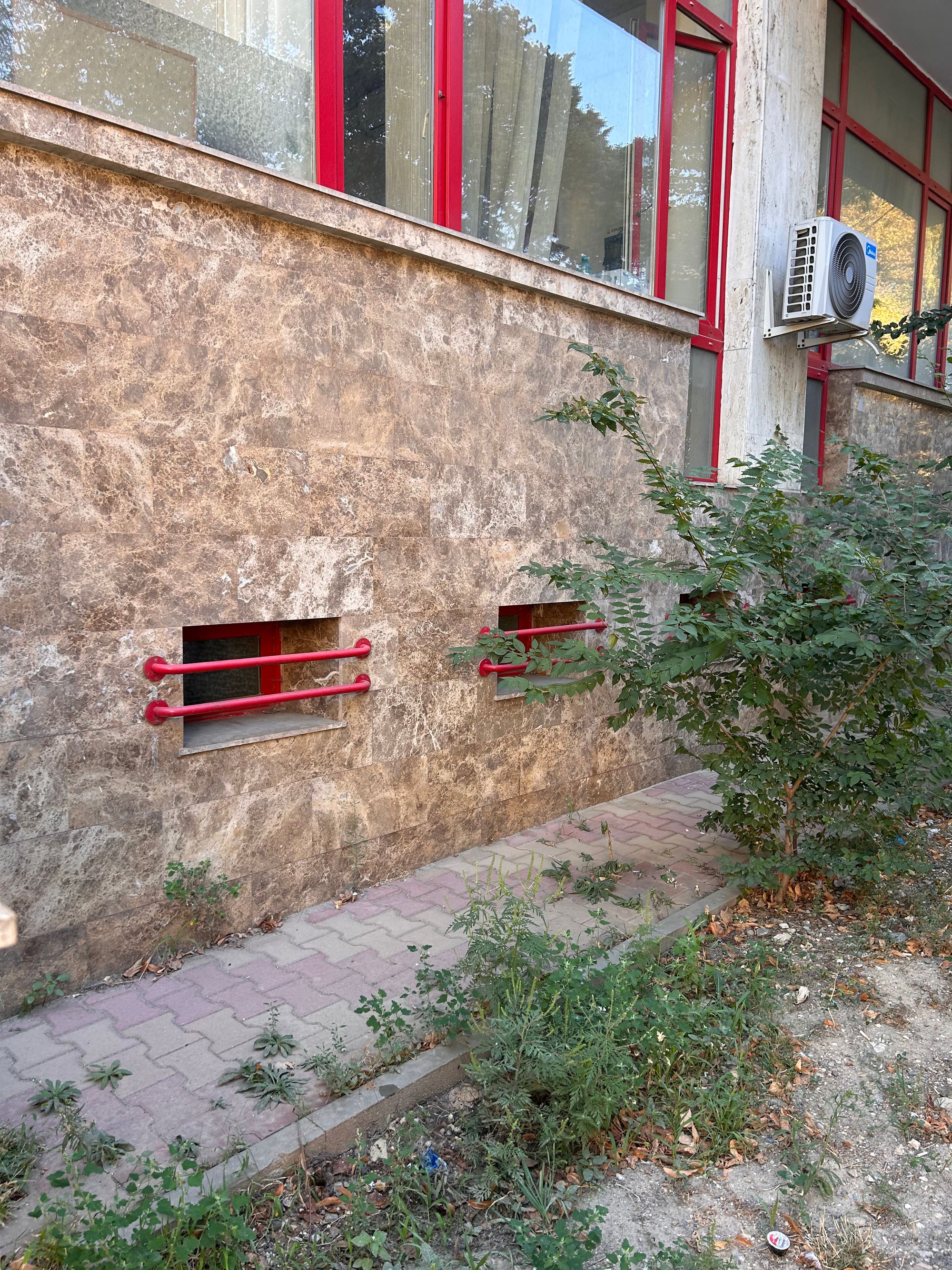 Ambrozie in Strada Decebal 22, Constanța, Municipiul Constanța, Județul Constanța - IMG_2397.jpeg