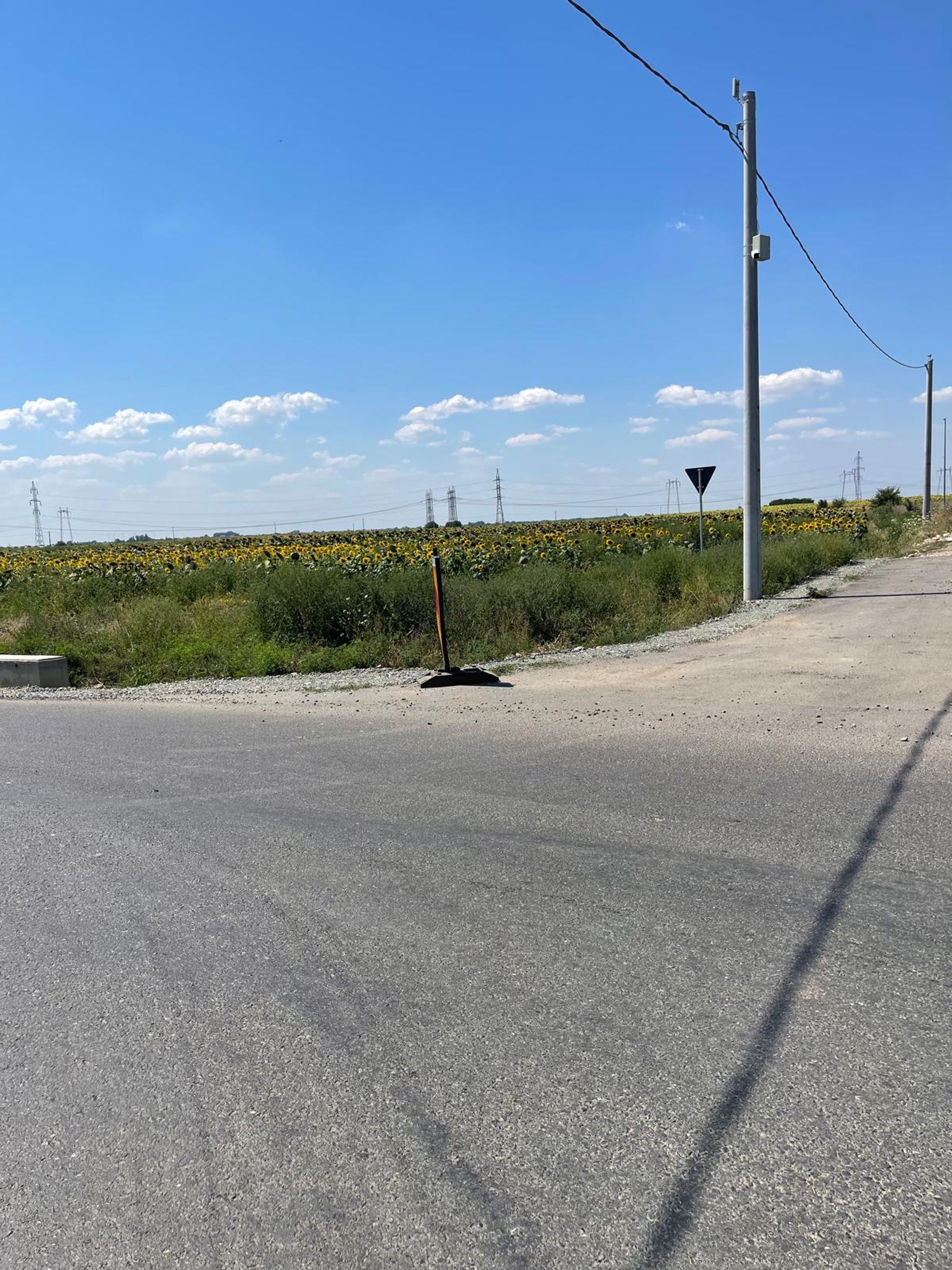 Ambrozie in Domnești, Comuna Domnești, Județul Ilfov