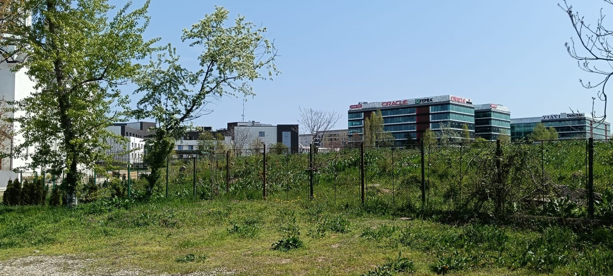 Ambrozie in Șoseaua Pipera 43B, București, Municipiul București