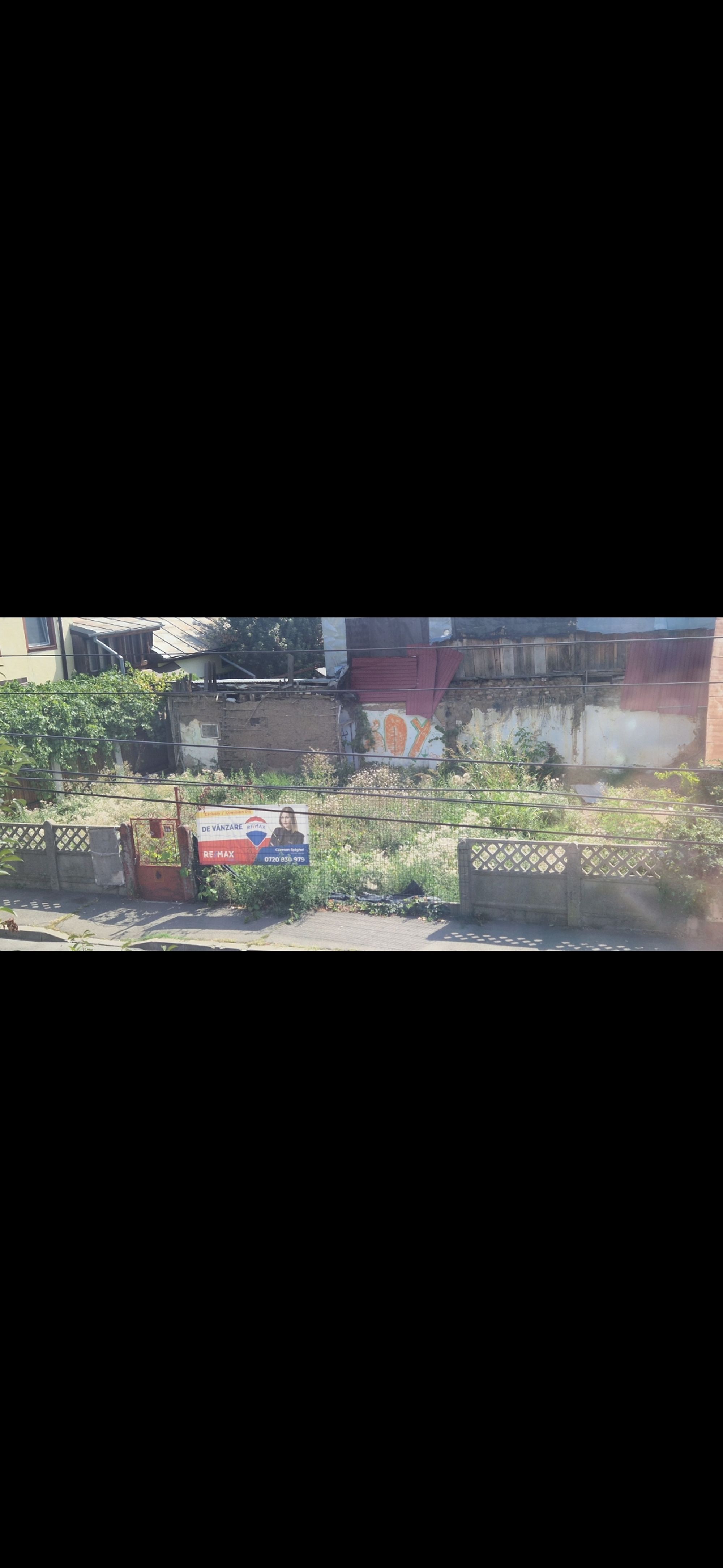 Ambrozie in Strada Câmpul cu Narcise 44, București, Municipiul București