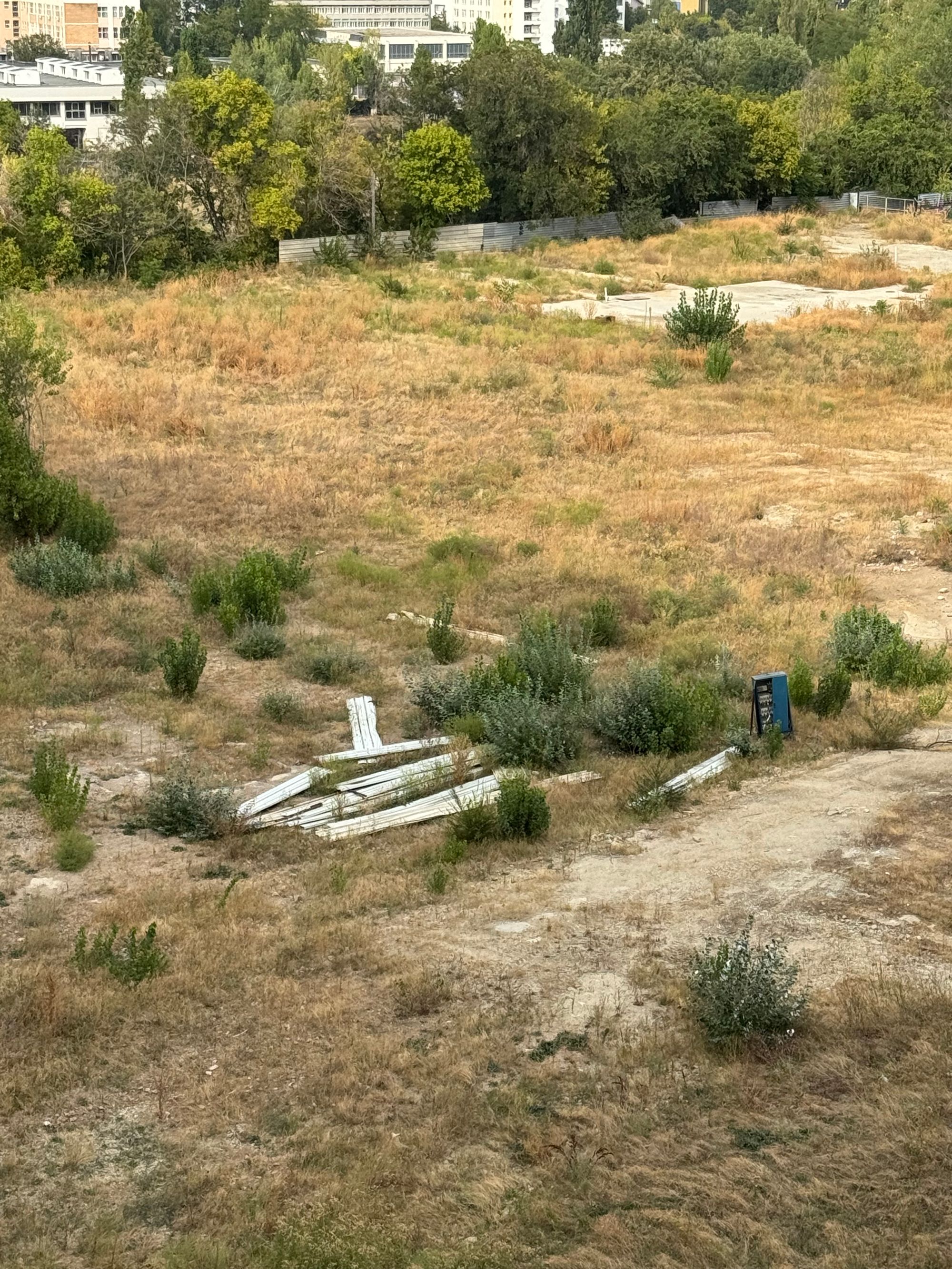 Ambrozie in Bulevardul Iuliu Maniu 6R, București, Municipiul București - IMG_0112.jpeg