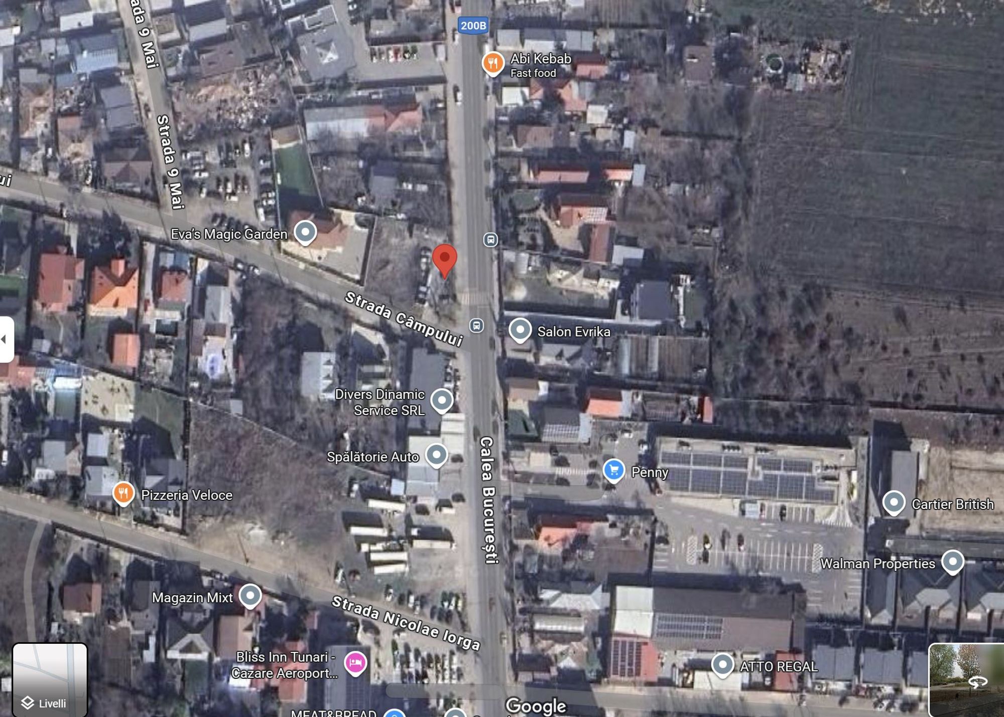 Ambrozie in Calea București 78, Tunari, Comuna Tunari, Județul Ilfov - Calea Bucuresti, Tunari, Ilfov.JPG