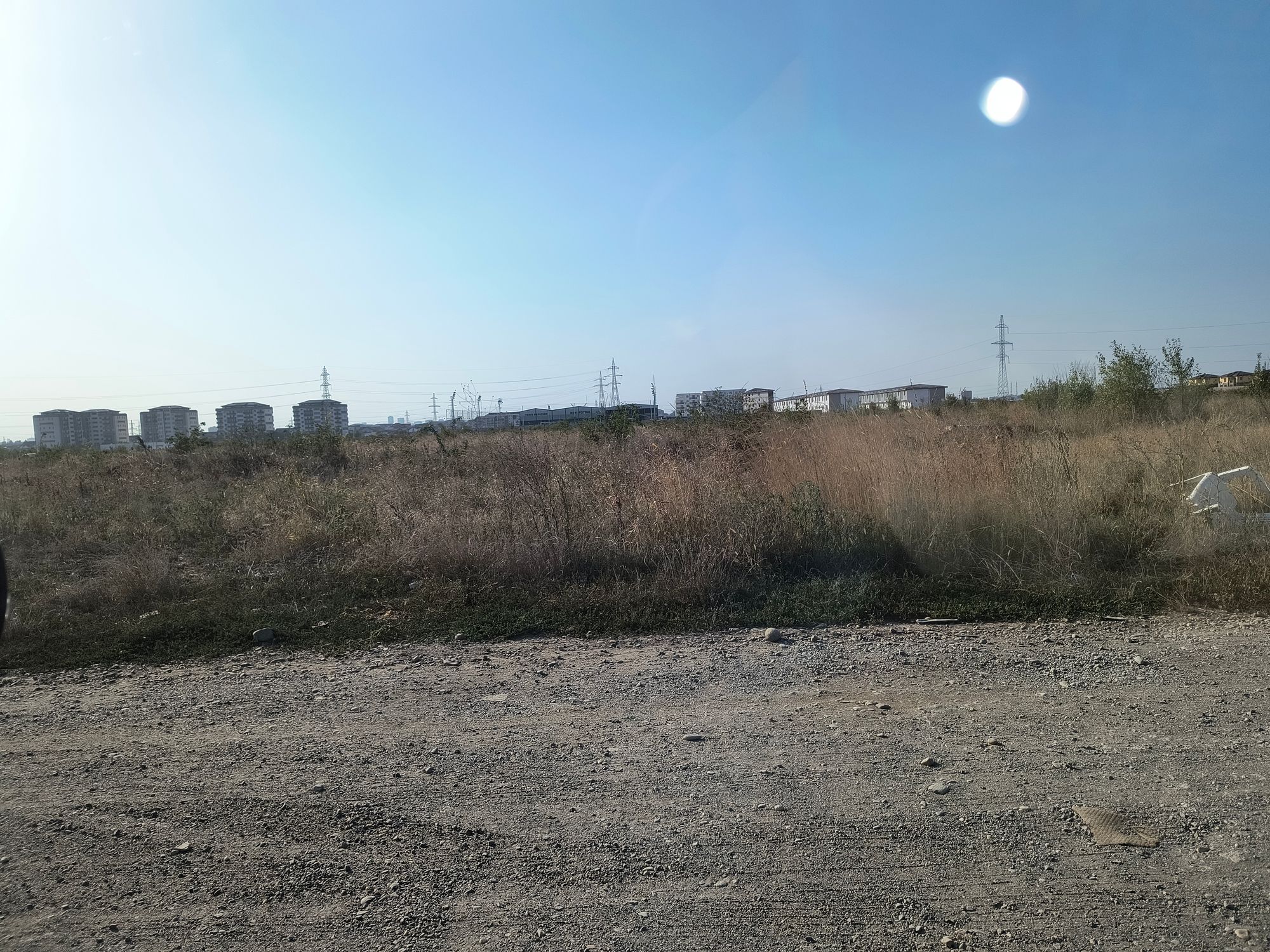 Ambrozie in Strada Lămâiței 67, Pantelimon, Oraş Pantelimon, Județul Ilfov - 1000026564.jpg