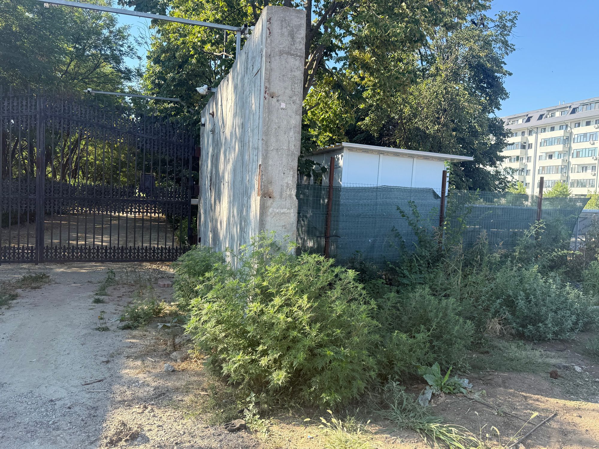 Ambrozie in Prelungirea Ghencea 278, București, Municipiul București