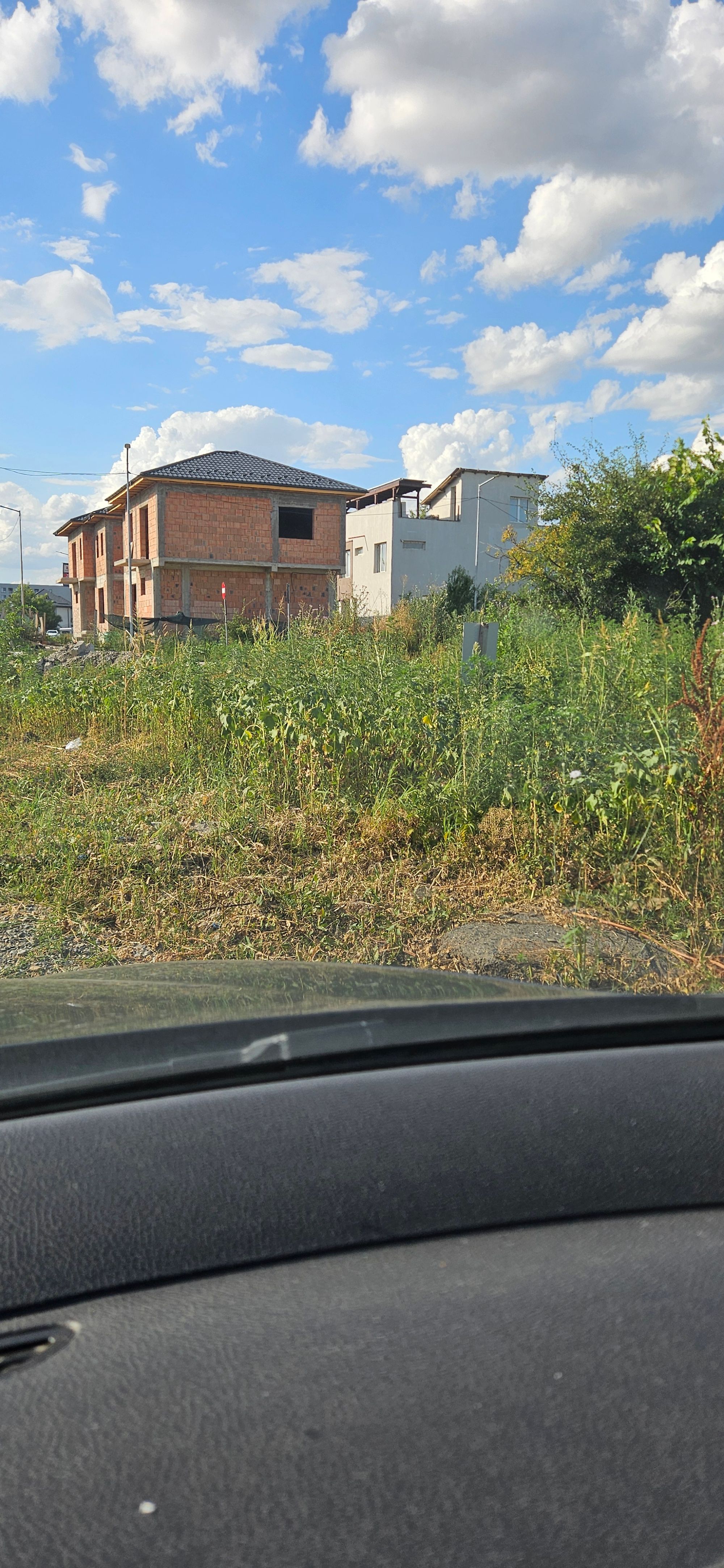 Ambrozie in Strada Iernii 82d, Bragadiru, Oraş Bragadiru, Județul Ilfov - 20250711_175406.jpg