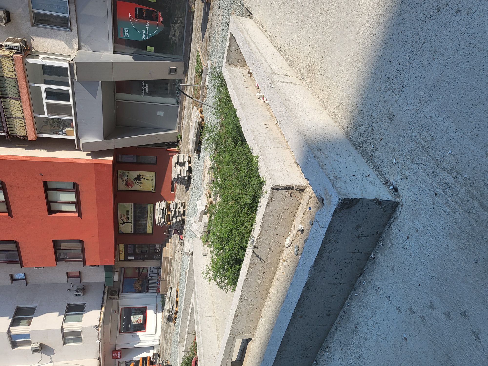 Ambrozie in Strada Ștefan cel Mare 42, Constanța, Municipiul Constanța, Județul Constanța - 20230822_162817.jpg